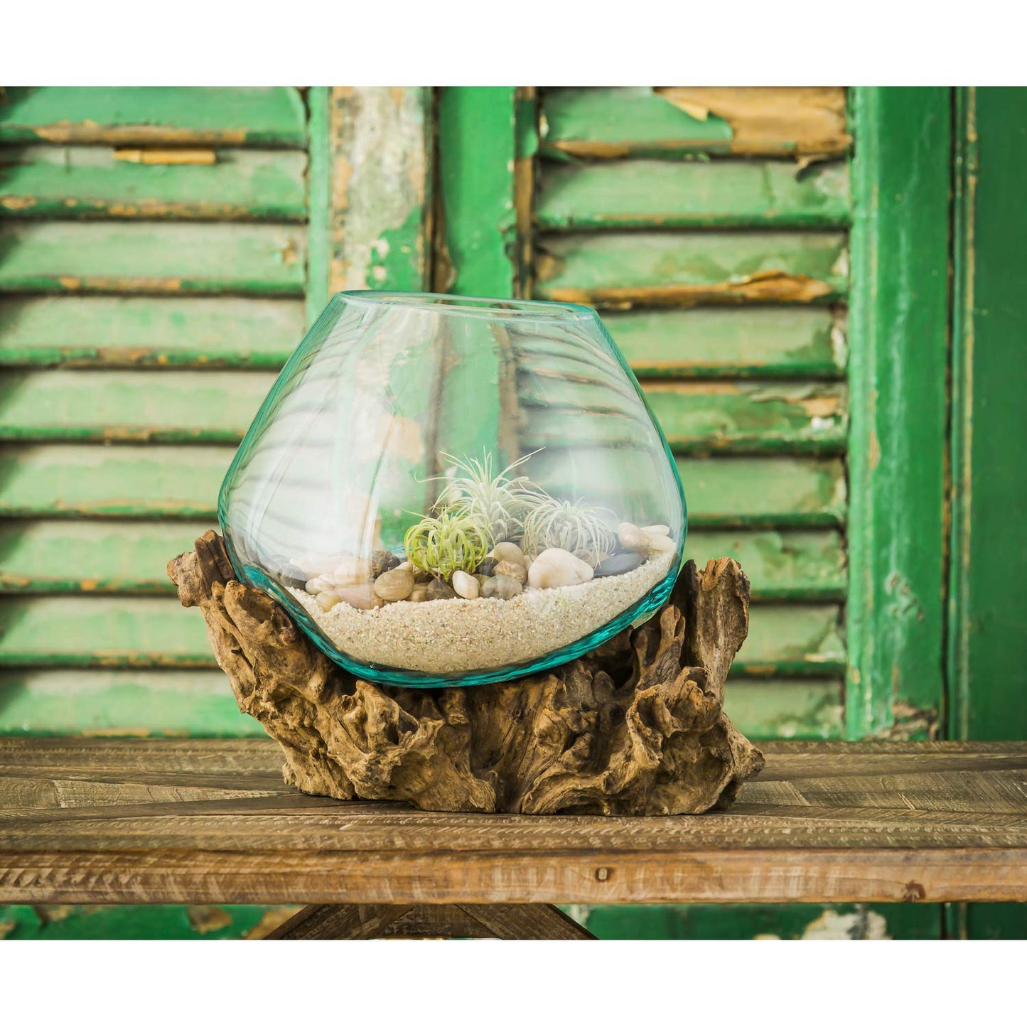 Cape Craftsmen 10" H Hand-Blown Blue Tinted Bubble Glass On Natural Teak Driftwood Terrarium | Home Décor Indoor Planter with Stand | Pot for Succulent and Plants
