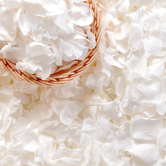 Eslibin 500+ PCS Real White Rose Petals, 4.57oz (130g) Preserved White Flower Petal for Wedding Flower Girl, Dried Flower Petal for Babyshower Bridal Party Aisle Table Scatter Decor