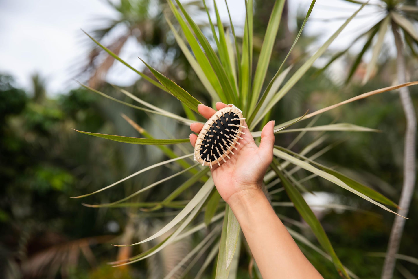 TEK - Scalp Massage Brush in Ash Wood with Strap, Ideal for Washing Air and Application of Anti-Hair Loss Lotions, 8,5 x 5 cm