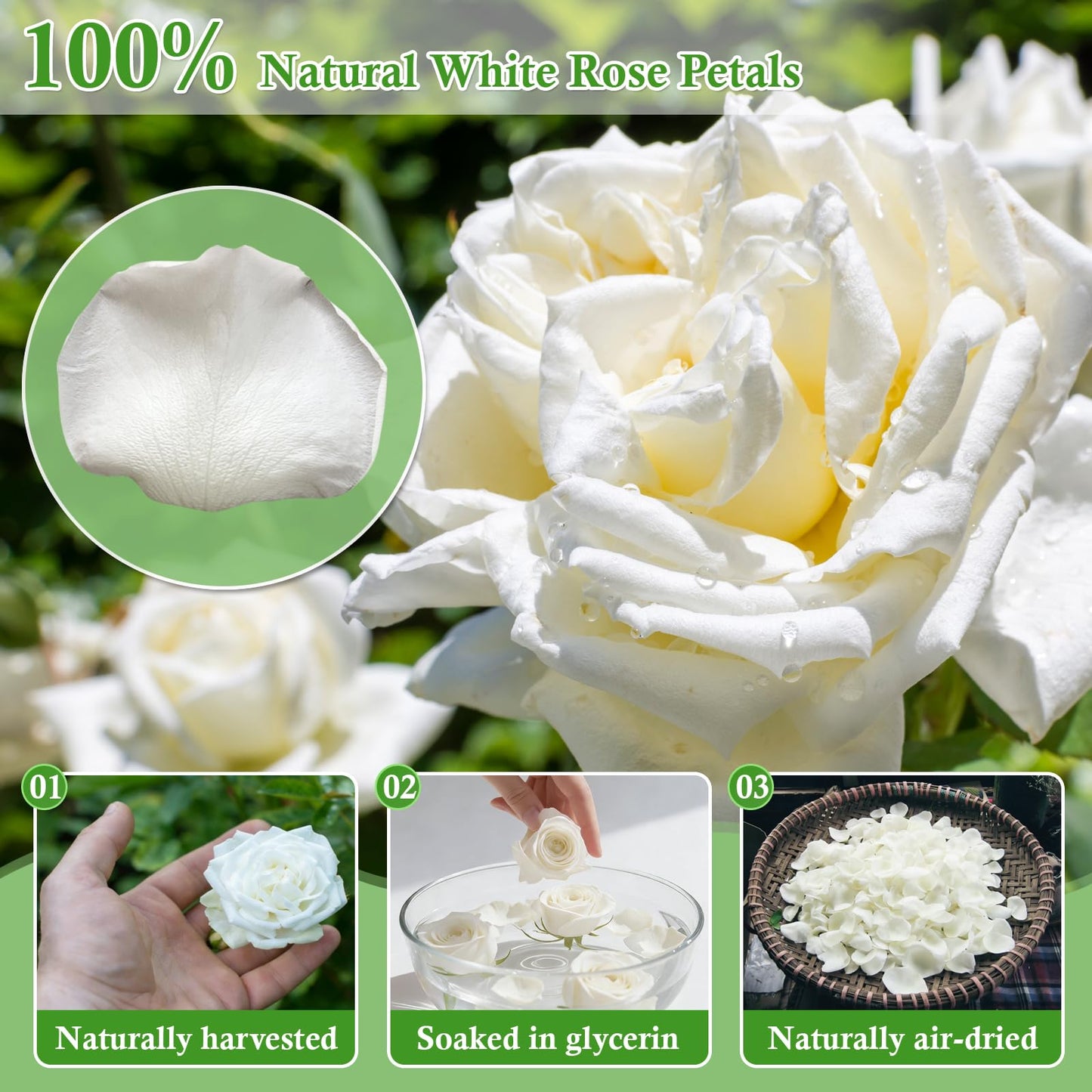 Eslibin 500+ PCS Real White Rose Petals, 4.57oz (130g) Preserved White Flower Petal for Wedding Flower Girl, Dried Flower Petal for Babyshower Bridal Party Aisle Table Scatter Decor
