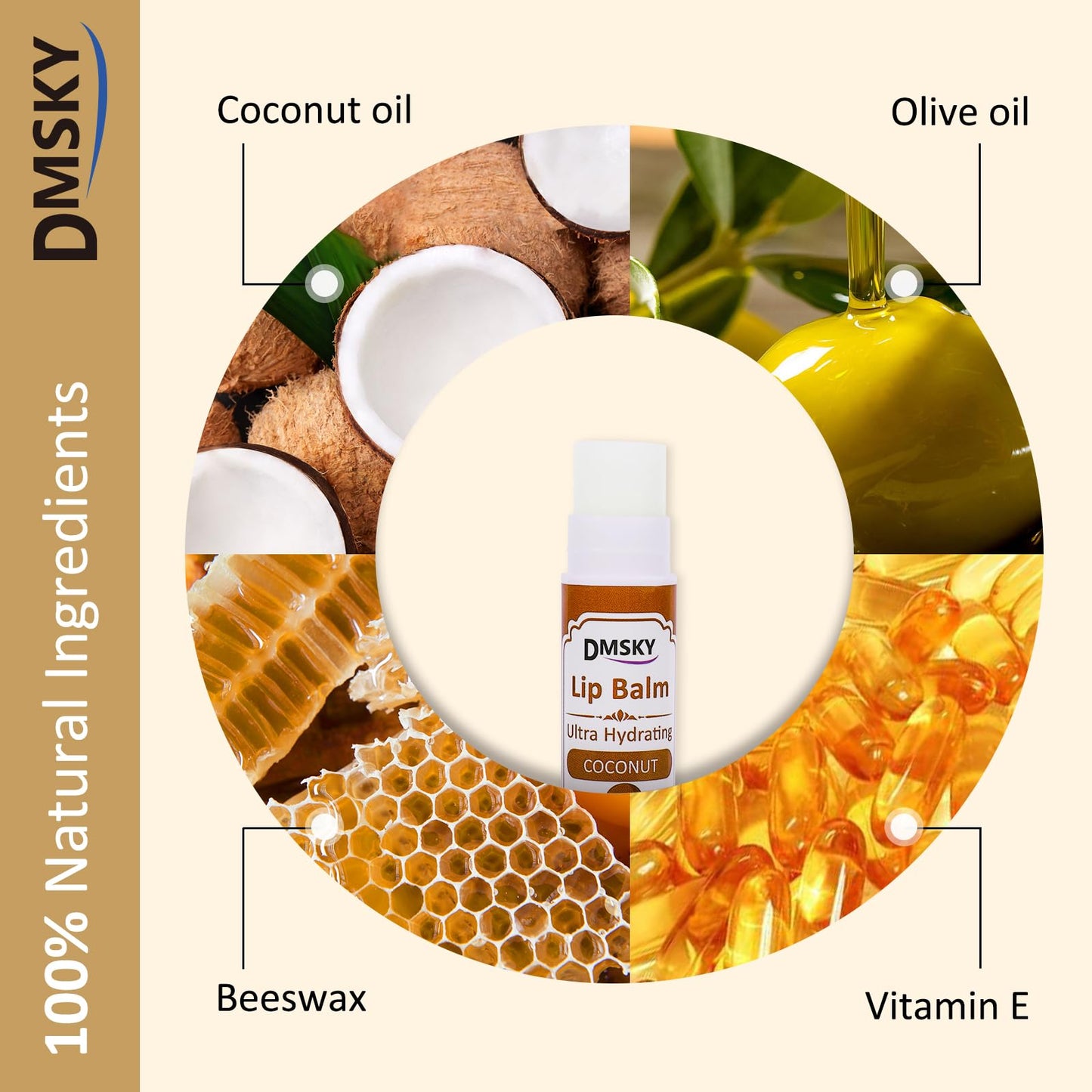 DMSKY Lip Balm 240 Pack, Lip Balm Bulk with Vitamin E and Coconut Oil, Moisturizing Lip Balm for Dry Cracked Lips-15 Flavors