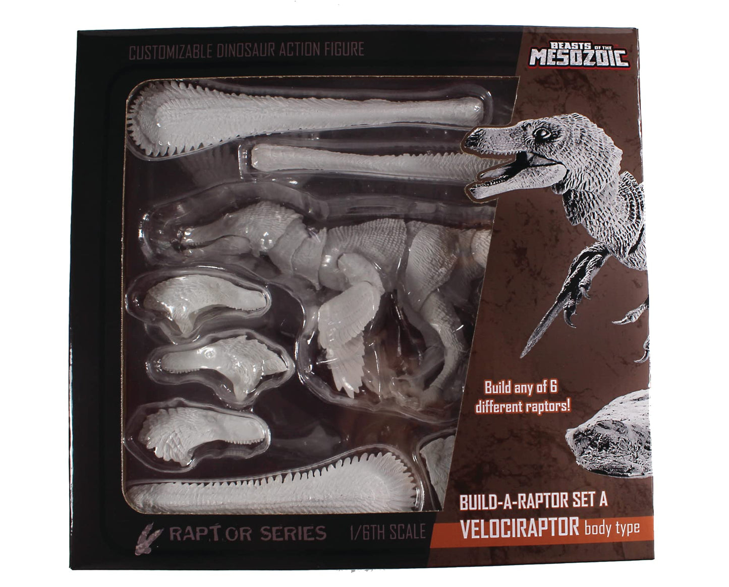 Creative Beast Studios Beasts of The Mesozoic: Velociraptor Build-a-Raptor 1:18 Scale Figure Set A