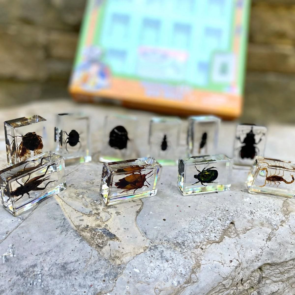 Uncle Milton Dr. Steve Hunters - Bugs World Collection - 10 Real Insects - Scientific Educational Toy
