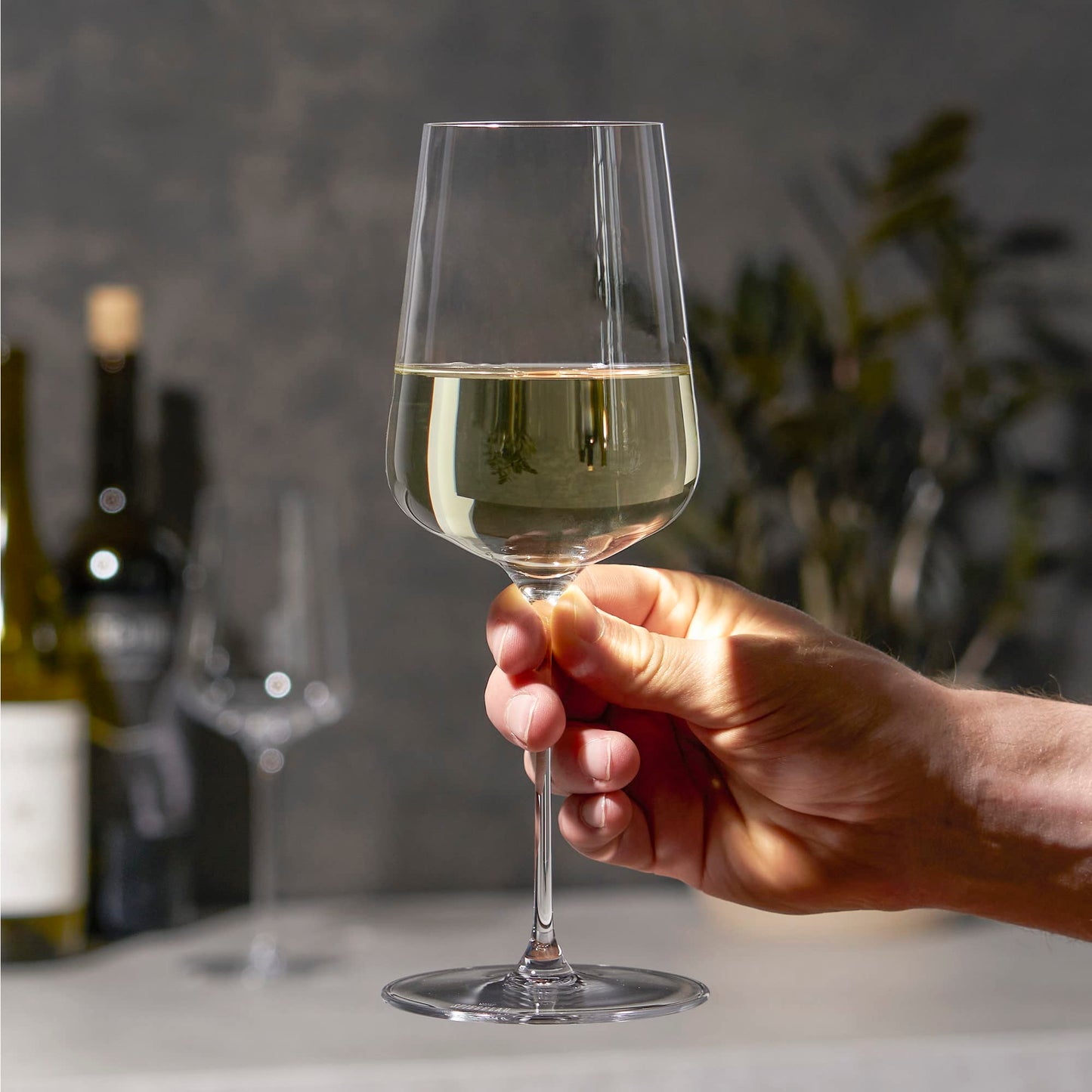 Spiegelau Definition Crystal White Wine Glasses, Sleek and Lightweight Design, Elegant Glassware for Wedding Gifts, Birthday Gifts, Home Bar, Hosting Essentials, 15.2 oz, Set of 2