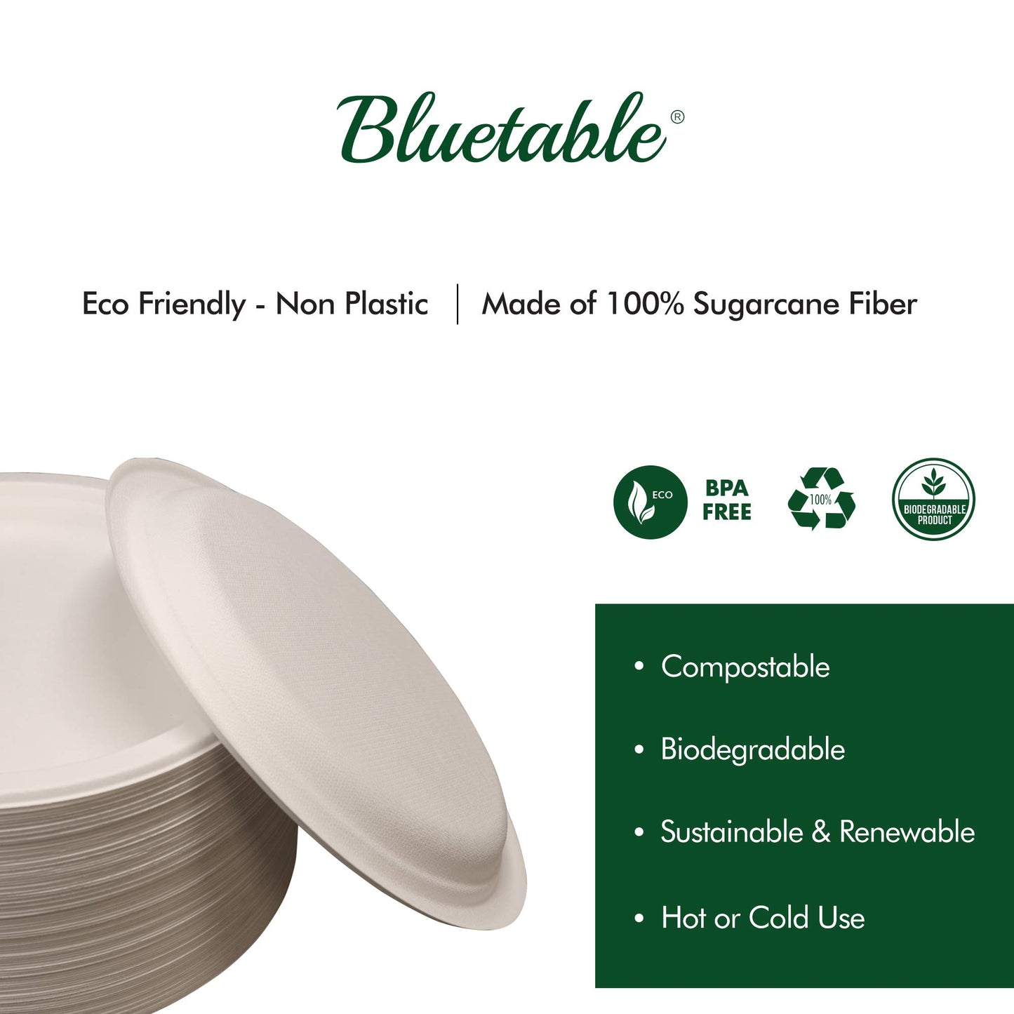 Compostable Paper Plates 9 Inch Bulk Plates [500 Case Pack] - Biodegradable Made from 100% Sugarcane - Heavy Duty Disposable - Eco Friendly - Bagasse Dinner Plates Natural Recycled Plate [500 Case]
