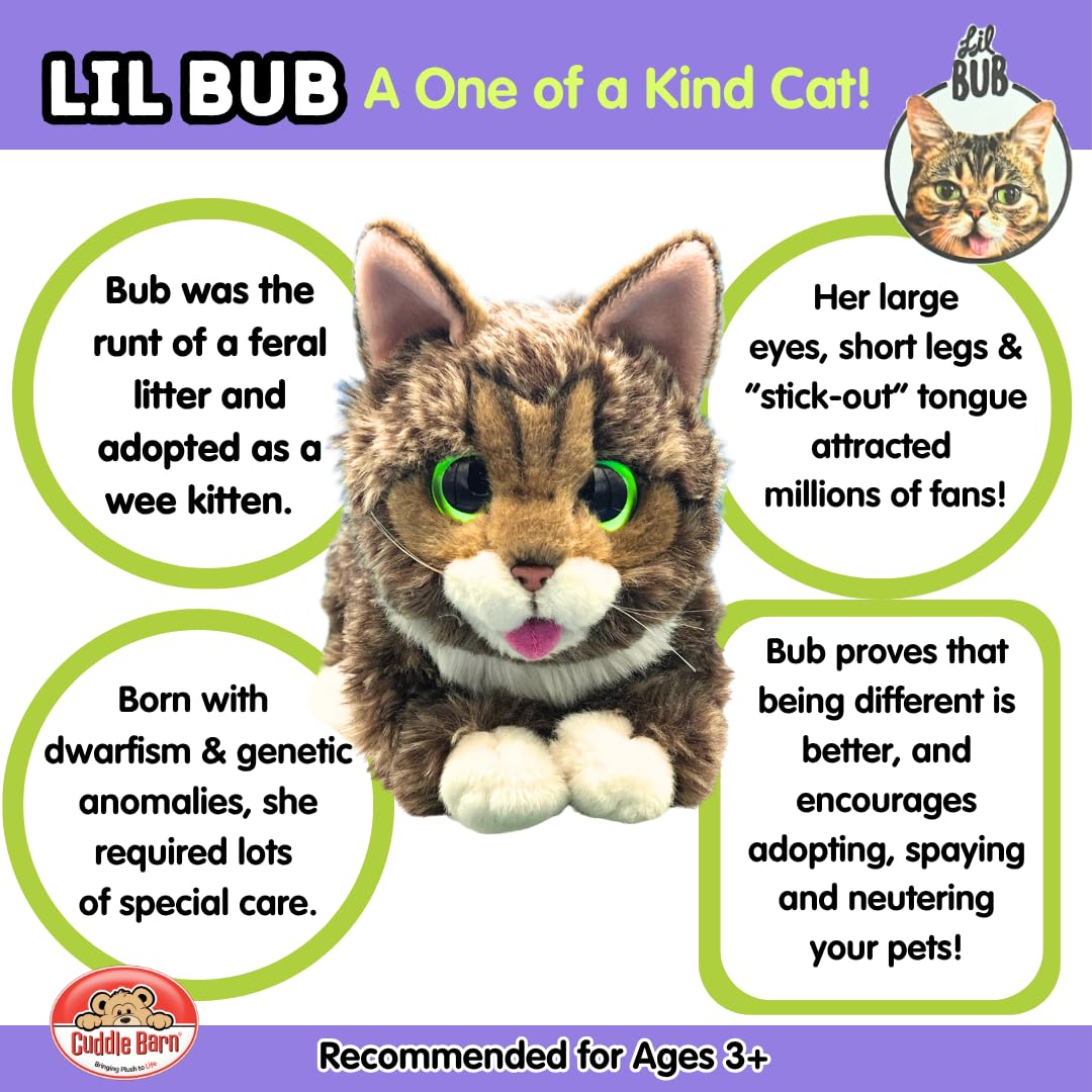 Cuddle Barn Lil Bub Adorable Kitten Cat Plush Toy, CB8240