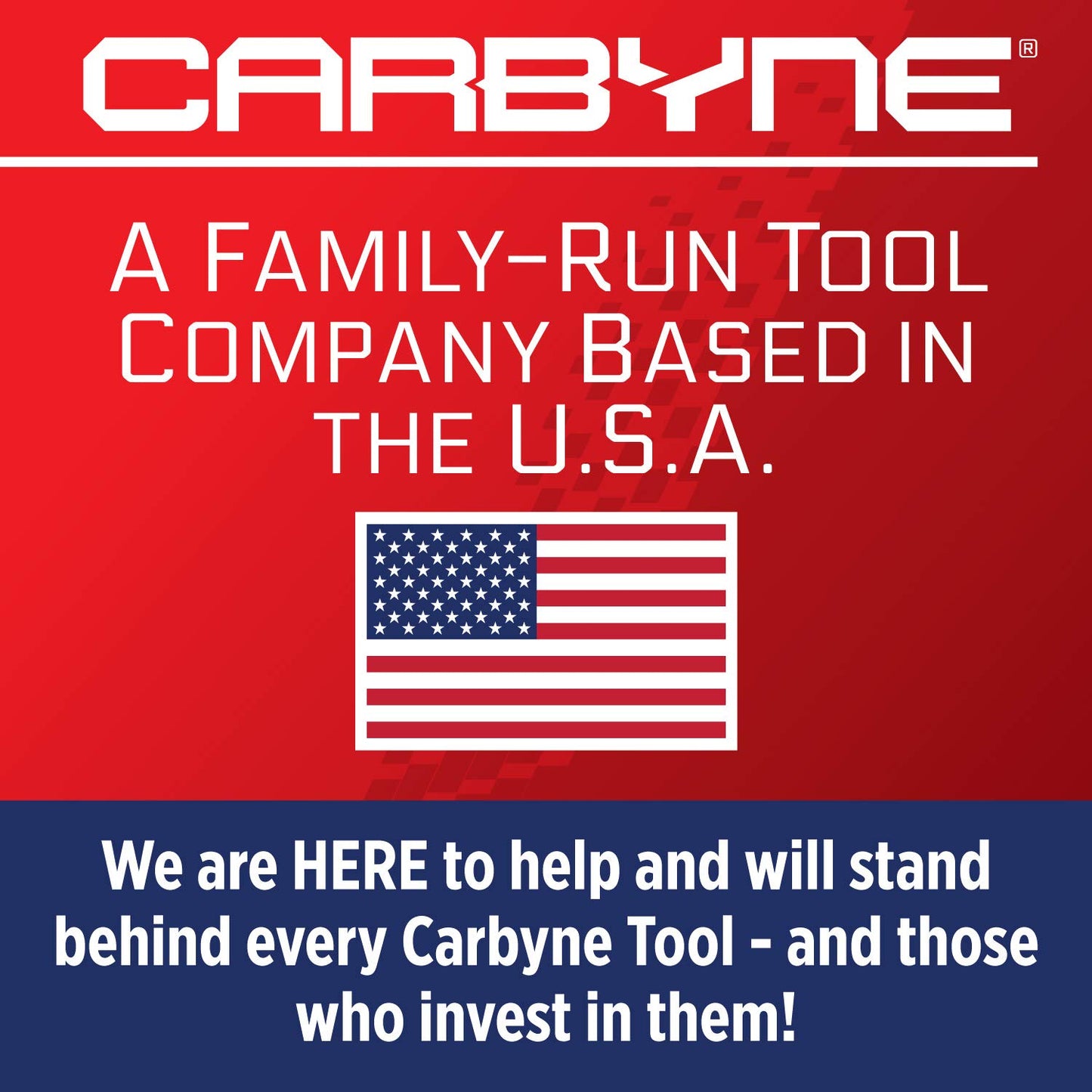 CARBYNE 13-Piece Torx Plus (aka 6 Lobe) Bit Socket Set, TP-8/IP-8 to TP-60/IP-60, S2 Steel Bits, CRV Sockets | 1/4 in., 3/8 in., & 1/2 in. Drive