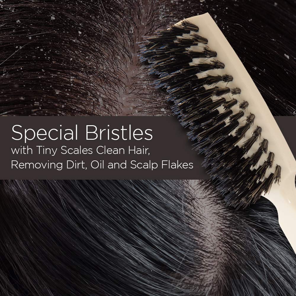 Fuller Brush Lustre Professional Hairbrush – 6 Row Styling Hair Brush & Volumizer w/Natural Boar Bristle For Smoothing All Hair Types