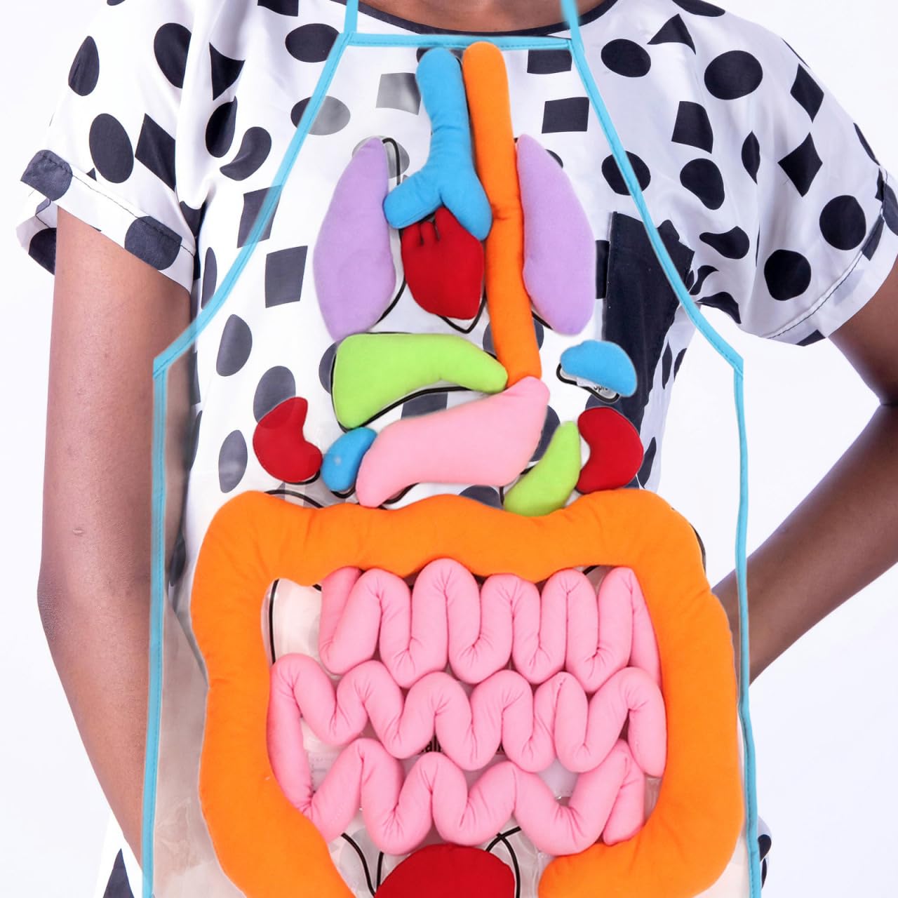 POPETPOP Educational Apron 1 Set 3D Organ Apron, Human Body Organs Cognitive Toy 3D Body Organs Apron Educational Tool Anatomy Apron for Kids 3D Human Organs Apron, As Shown, 60X40CM, As Shown, 60X40CM