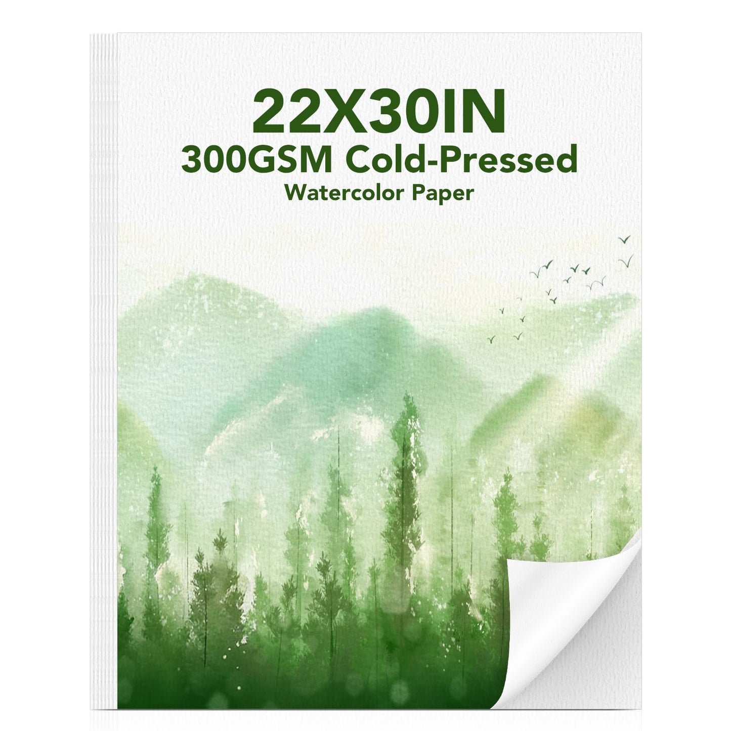 30 Sheets Large Watercolor Paper, 22x30 Inches Cold Press Water Color Paper Pad, 300GSM Thick Heavyweight Large Drawing Paper Bulk for Beginners Artists Professionals