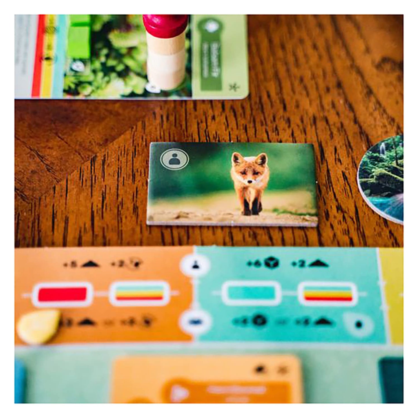 Inside Up Games Earth | Board Game of The Year 2023 | Ecosystem Building, Card Drafting, Action Selection | Create Amazing Natural Synergies | 1 to 6 Players | 45 to 90 Minute | Age 13+
