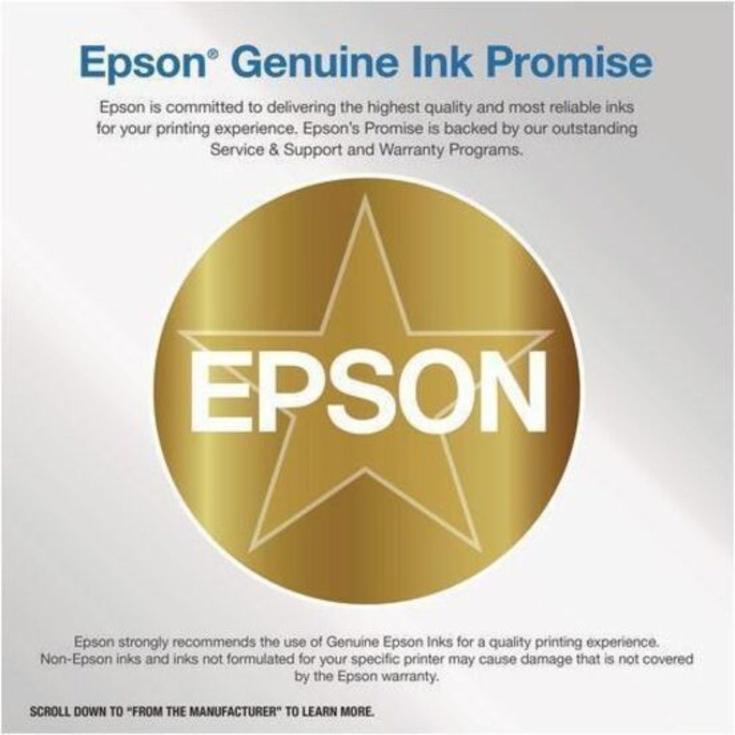 Epson 320 Standard Capacity (T320P) Works with PictureMate PM-400