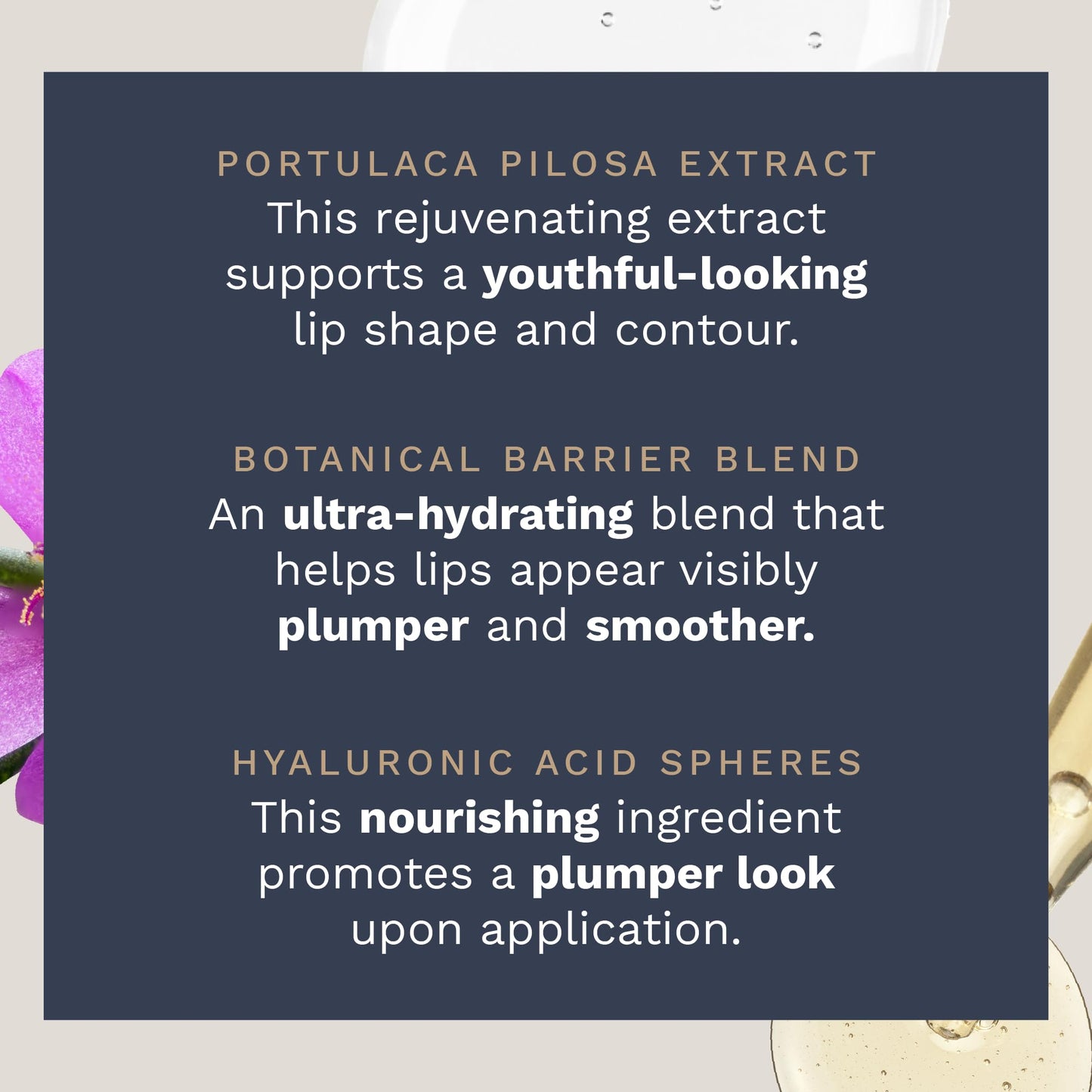 City Beauty City Lips Plumping Oil - Plump, Hydrate, Restore - Anti-Aging Lip Treatment - Plumping Lip Oil with Hyaluronic Acid & Plant Extracts (Pink Champagne)