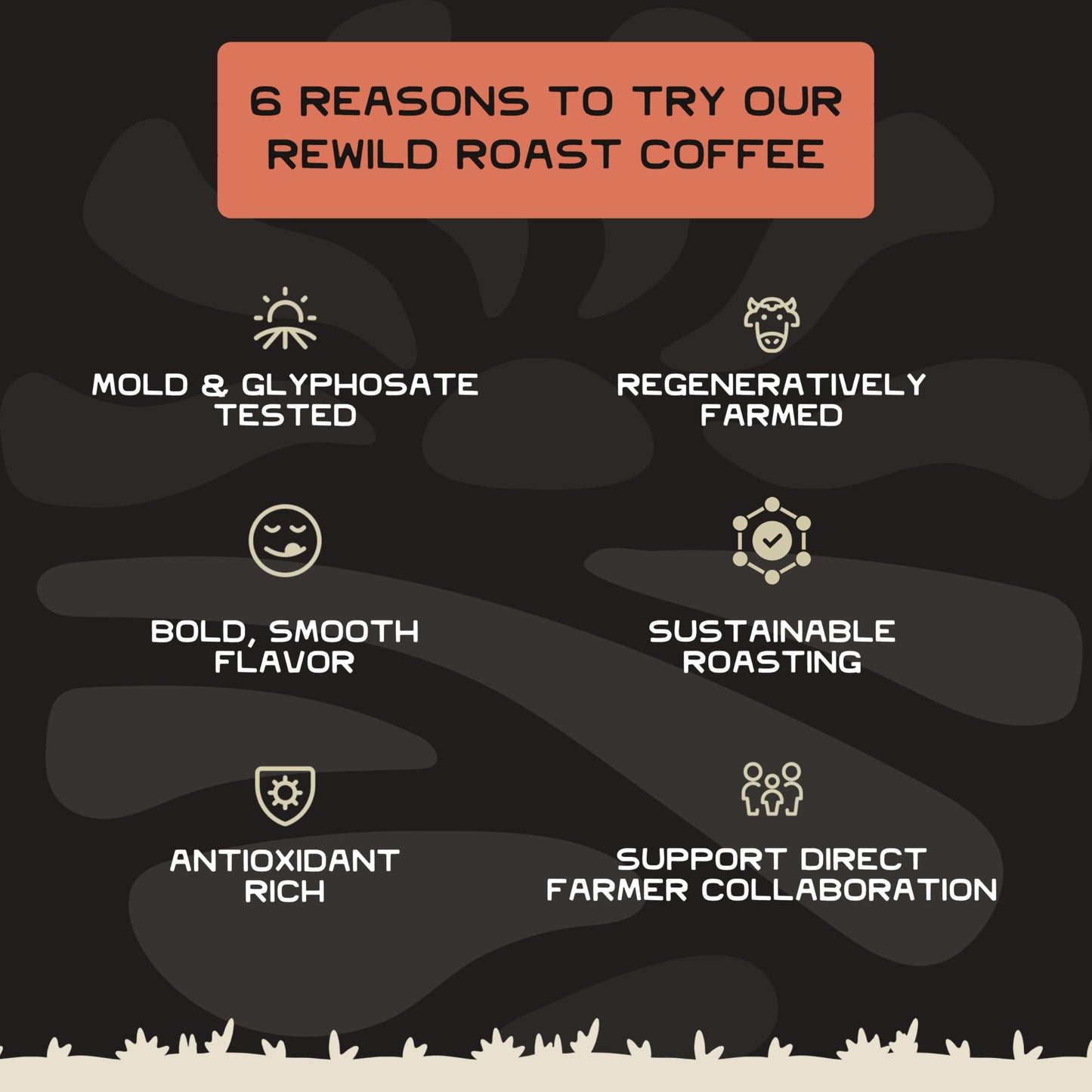 Lineage Provisions Rewild Roast Coffee - Organic Whole Coffee Beans - Arabica Medium Roast - Brown Sugar, Dark Chocolate, Toasted Walnut, Citrus - 1-Pack, 12 oz