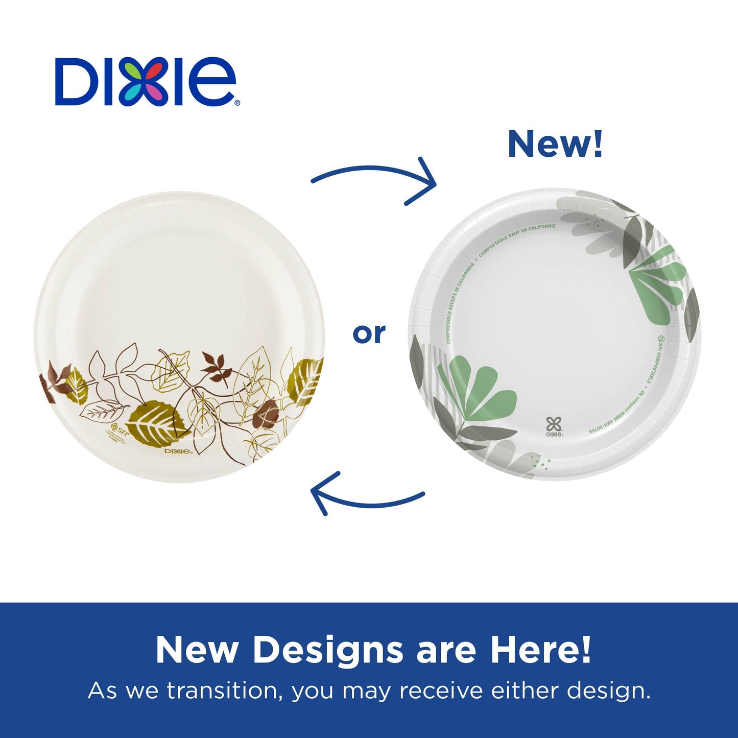 Dixie 8.5" Medium-Weight Paper Plates by GP PRO (Georgia-Pacific), Pathways, UX9WS, 500 Count (125 Plates Per Pack, 4 Packs Per Case)