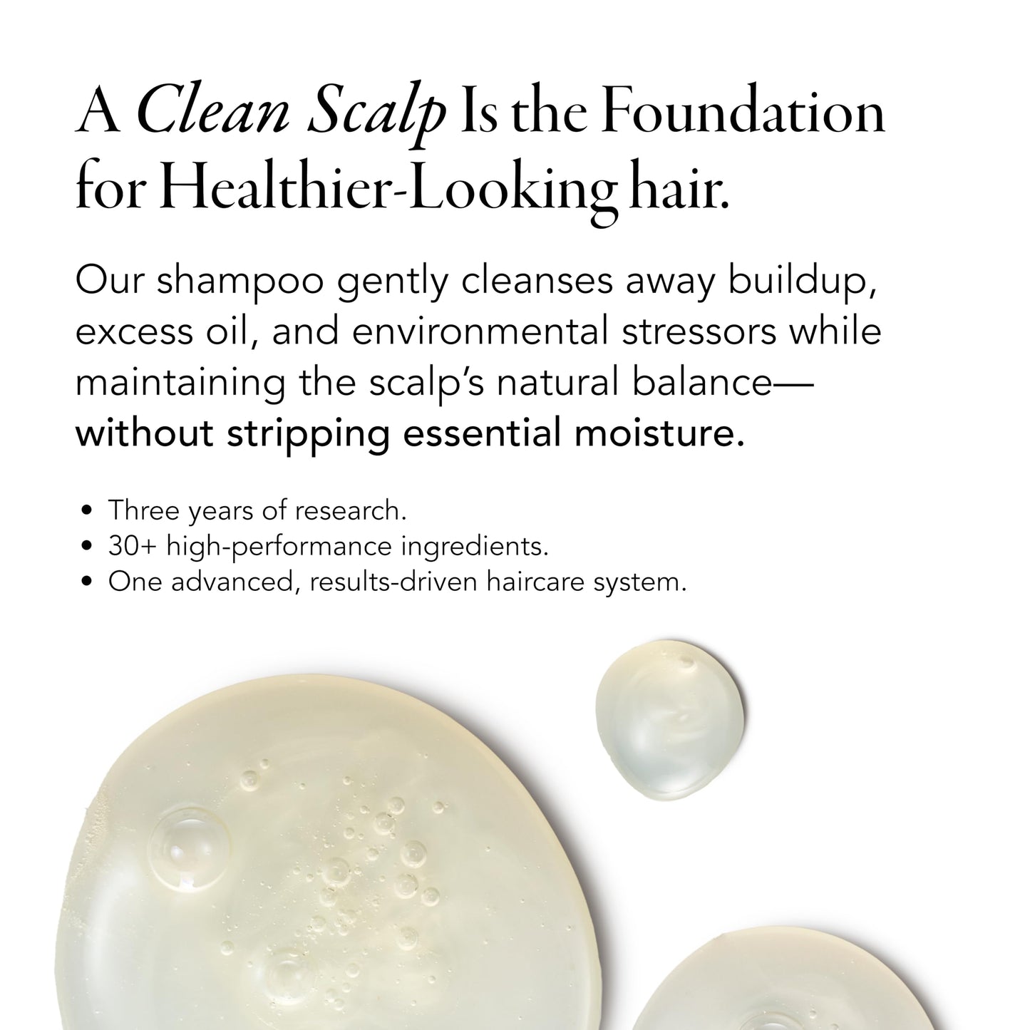 Caldera + Lab The Shampoo | Men’s Shampoo for Healthy Hair, Sulfate-Free Daily Cleanser, Dermatologically Tested - All Hair Types