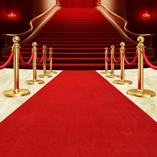450 GSM Extra Thick Waterproof Red Carpet Runner for Events Decorations, 3X10 Ft Not Slip Red Runner Aisle Runway Rug for Wedding, Party, Banquet, Activity Entrance and Special Events Decorations