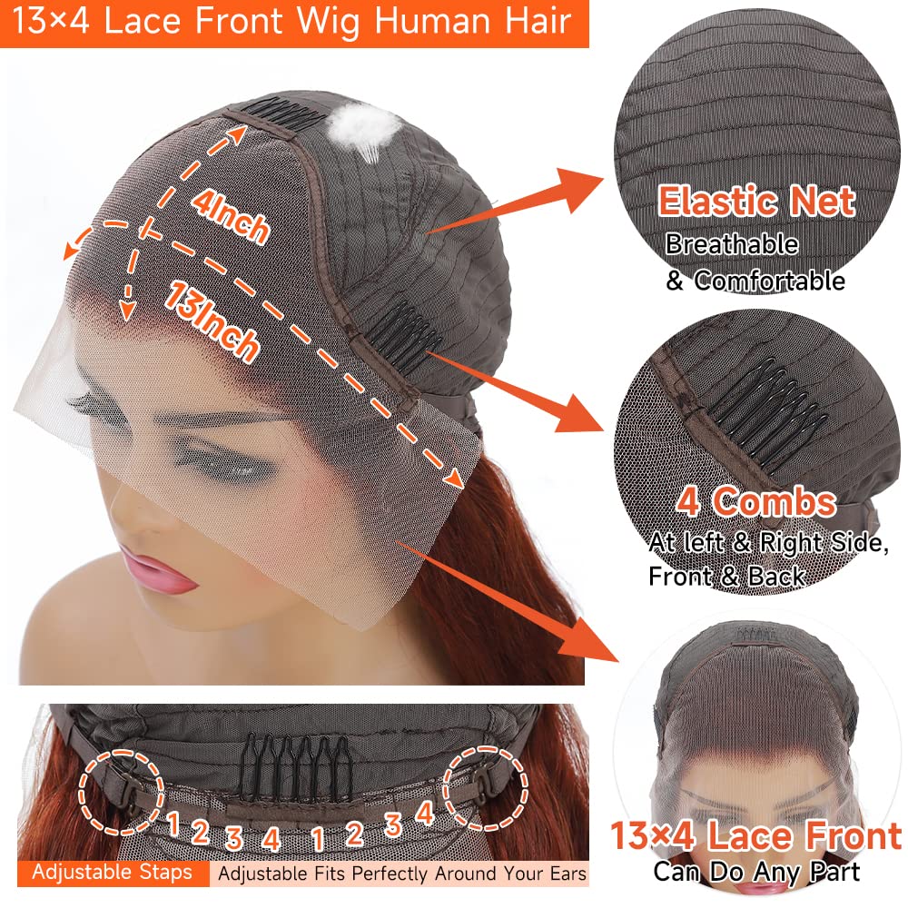 Reddish Brown Lace Front Wigs Human Hair Pre Plucked 13x4 Body Wave Glueless Wigs Human Hair Auburn Colored Human Hair Lace Front Wigs HD Lace Frontal Human Hair Wigs With Baby Hair 26 inch