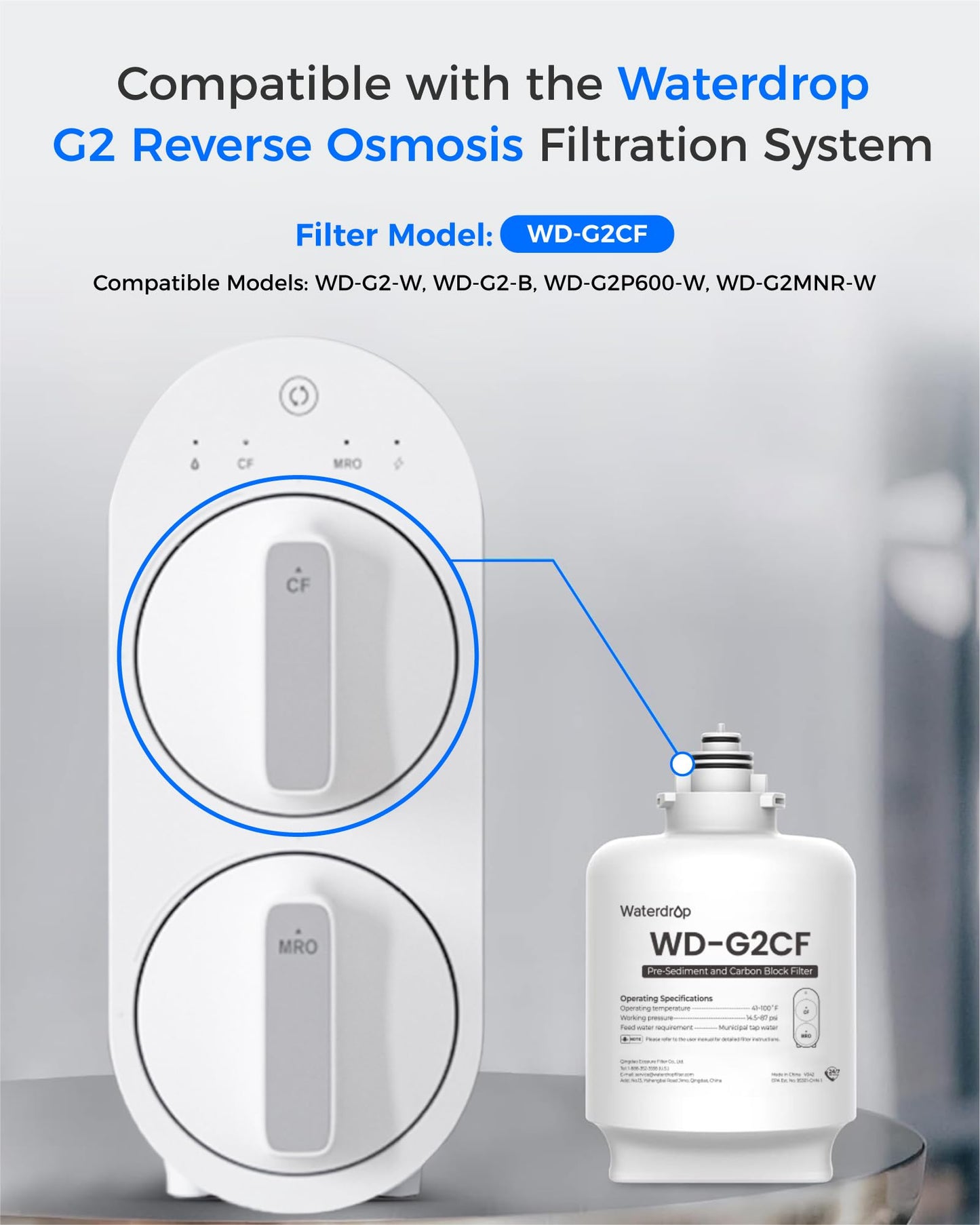 Waterdrop G2-2CF Filter, Replacement for G2 & G2P600 Reverse Osmosis System, 12-month Lifetime, 2-Pack