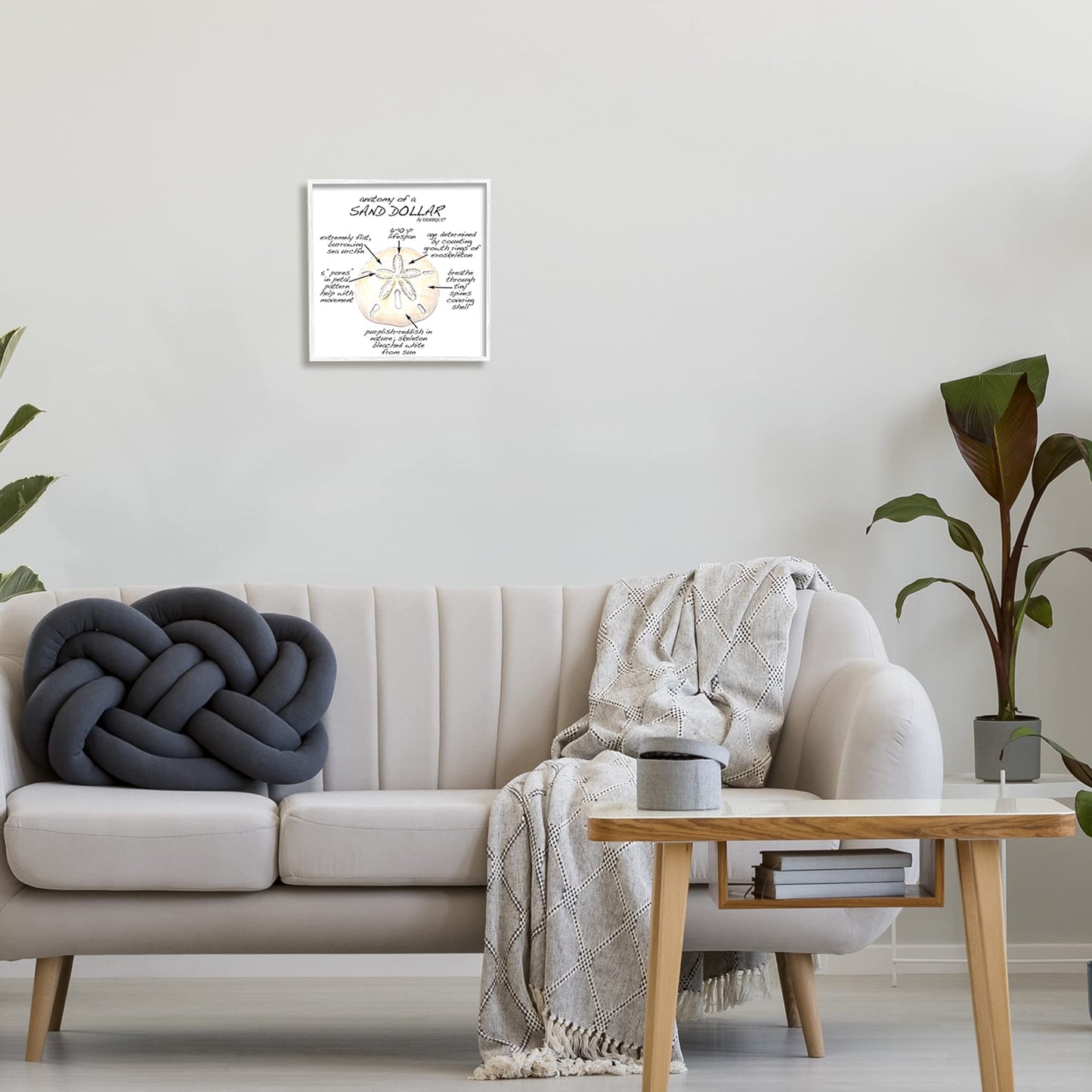 Stupell Industries Informative Sand Dollar Learning Chart Nautical Education, Design by Dishique