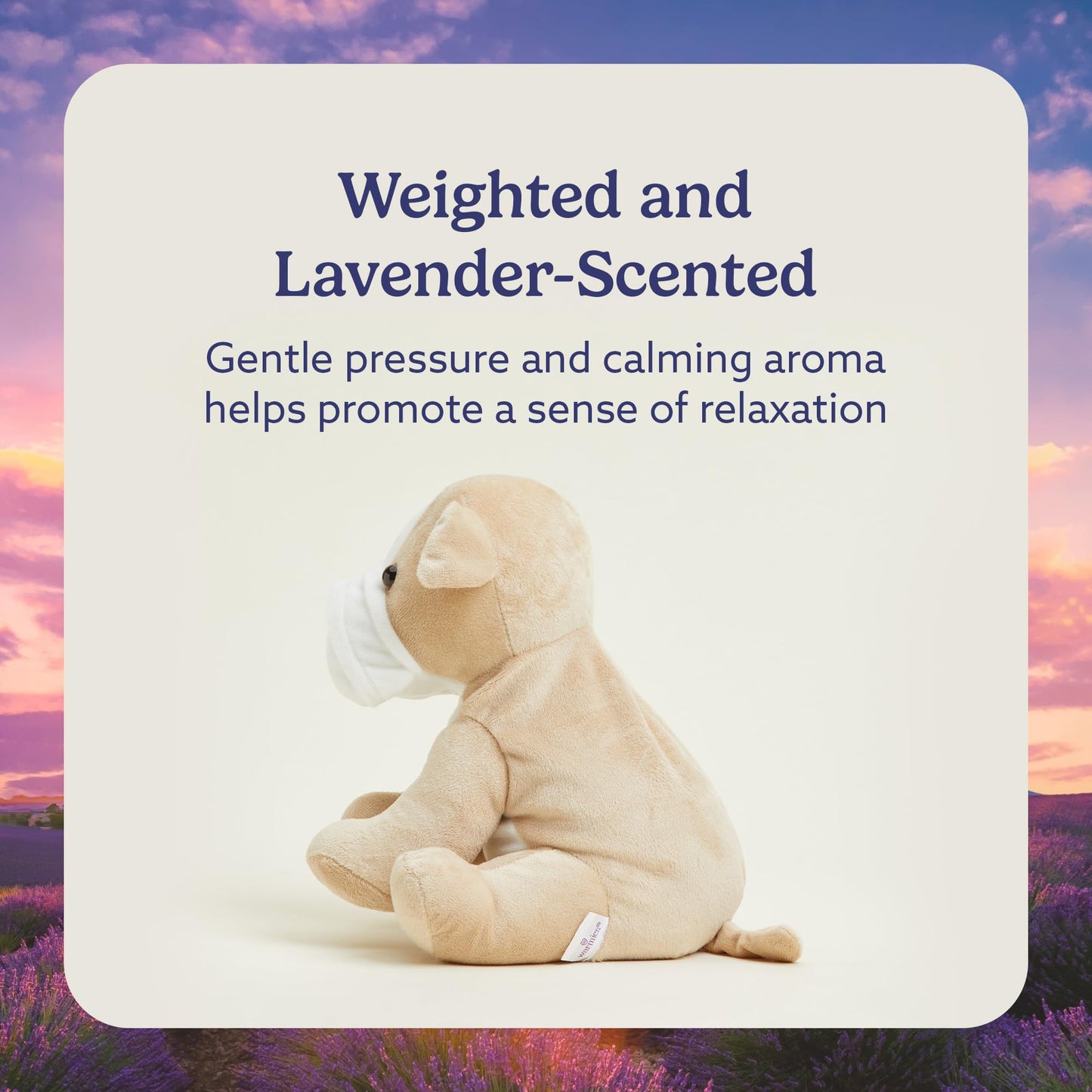 Intelex Bull Dog Warmies Plush