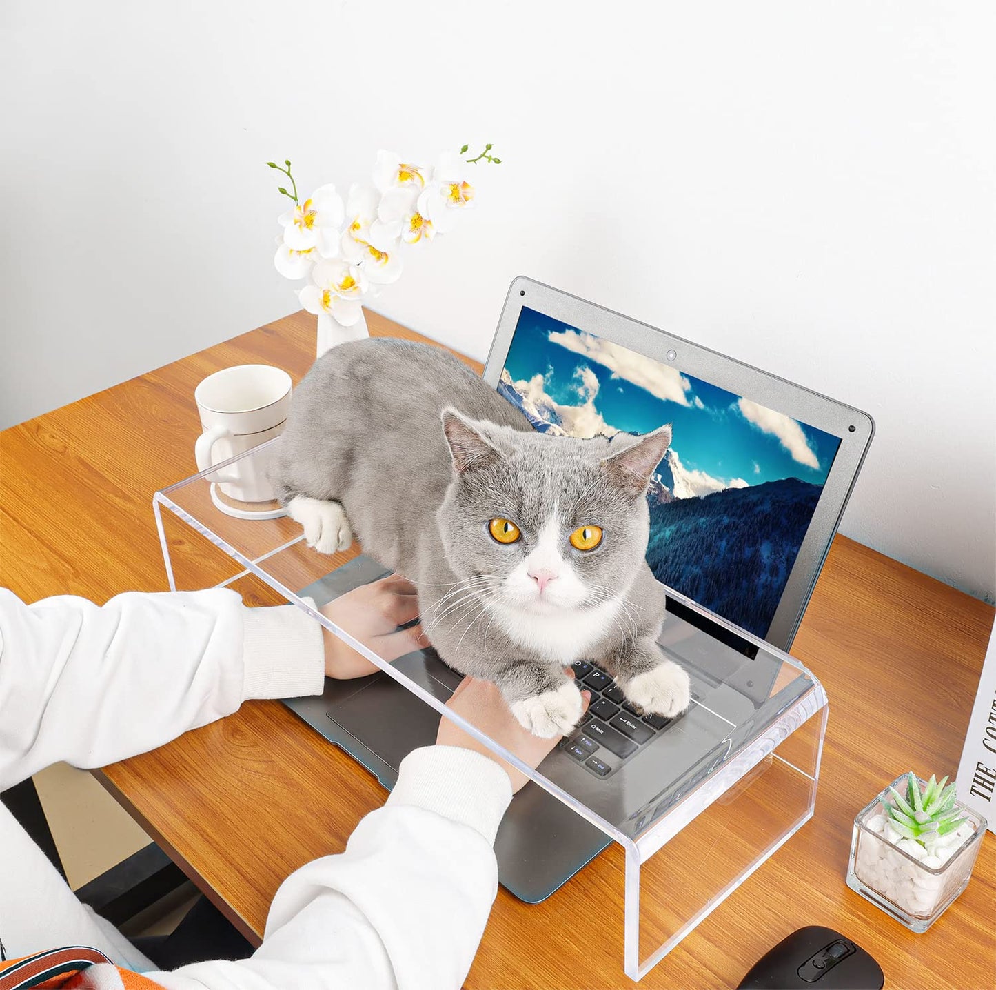 VAOLLO Anti-Cat keyboard cover, laptop keyboard covers cat proof, clear keyboard protector, PC Desk Stand for Keyboard Storage acrylic Monitor Stand Riser and Laptop Stand Riser (20"/7.1"/4.8")