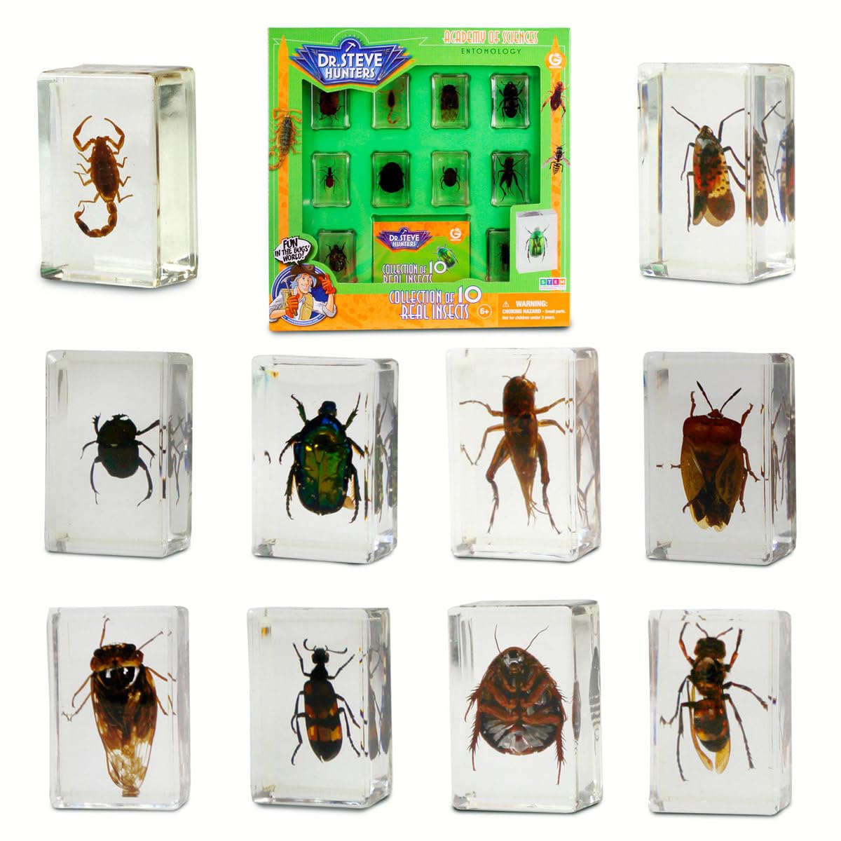 Uncle Milton Dr. Steve Hunters - Bugs World Collection - 10 Real Insects - Scientific Educational Toy