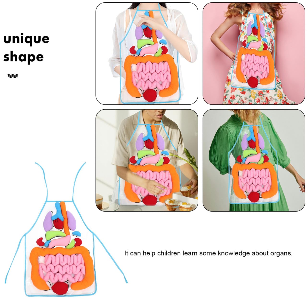 POPETPOP Educational Apron 1 Set 3D Organ Apron, Human Body Organs Cognitive Toy 3D Body Organs Apron Educational Tool Anatomy Apron for Kids 3D Human Organs Apron, As Shown, 60X40CM, As Shown, 60X40CM