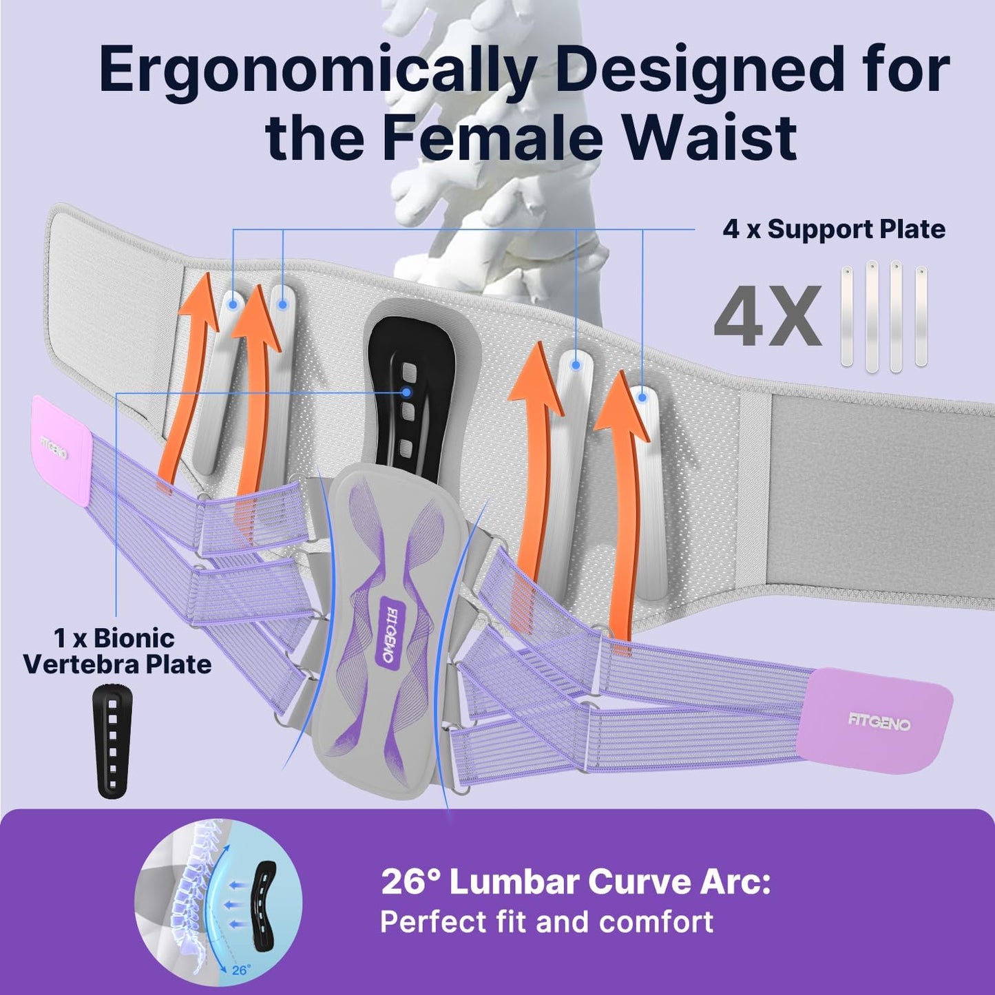 Fit Geno Back Brace for Lower Back Pain Women: Adjustable Lumbar Support Brace for Pain Relief - Breathable Waist Belt for Comfort - M
