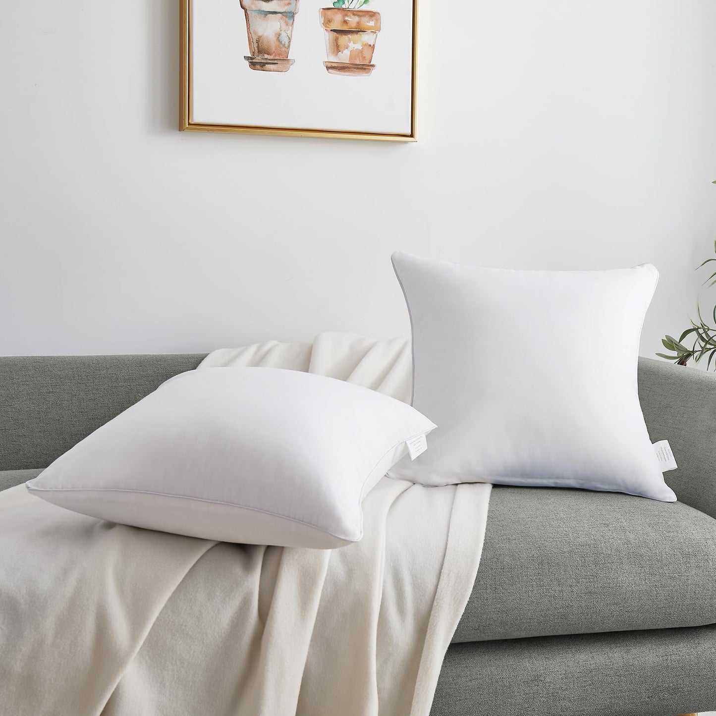 Oubonun 20"x20" Pillow Inserts (Set of 4) - 100% Cotton Cover, Square Throw Pillow Inserts for Couch, Sofa, Bed - Decorative 20 Inch White Pillow Inserts