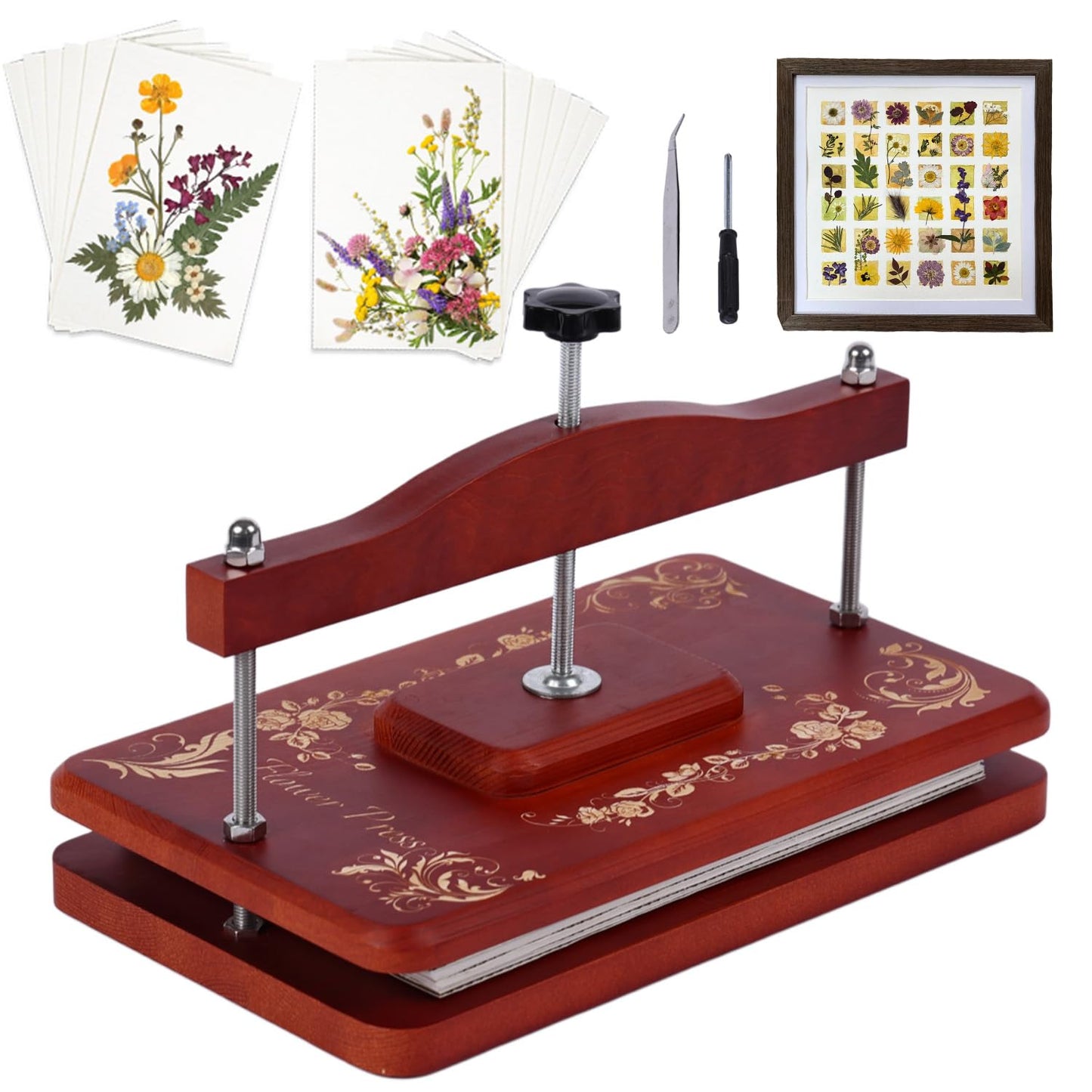 Nuvograin Red Pine Flower Press Kit,Easy One-Step Wooden Plant Press,10 x 6 inch Flower Presser for Kids & Adults, Great for Thanksgiving & Christmas Gifts