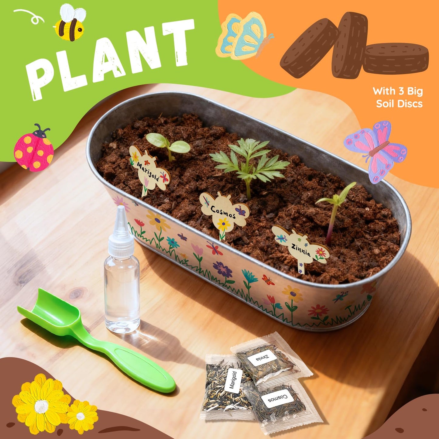 PLANTMEW Paint & Plant Flower Growing Kit