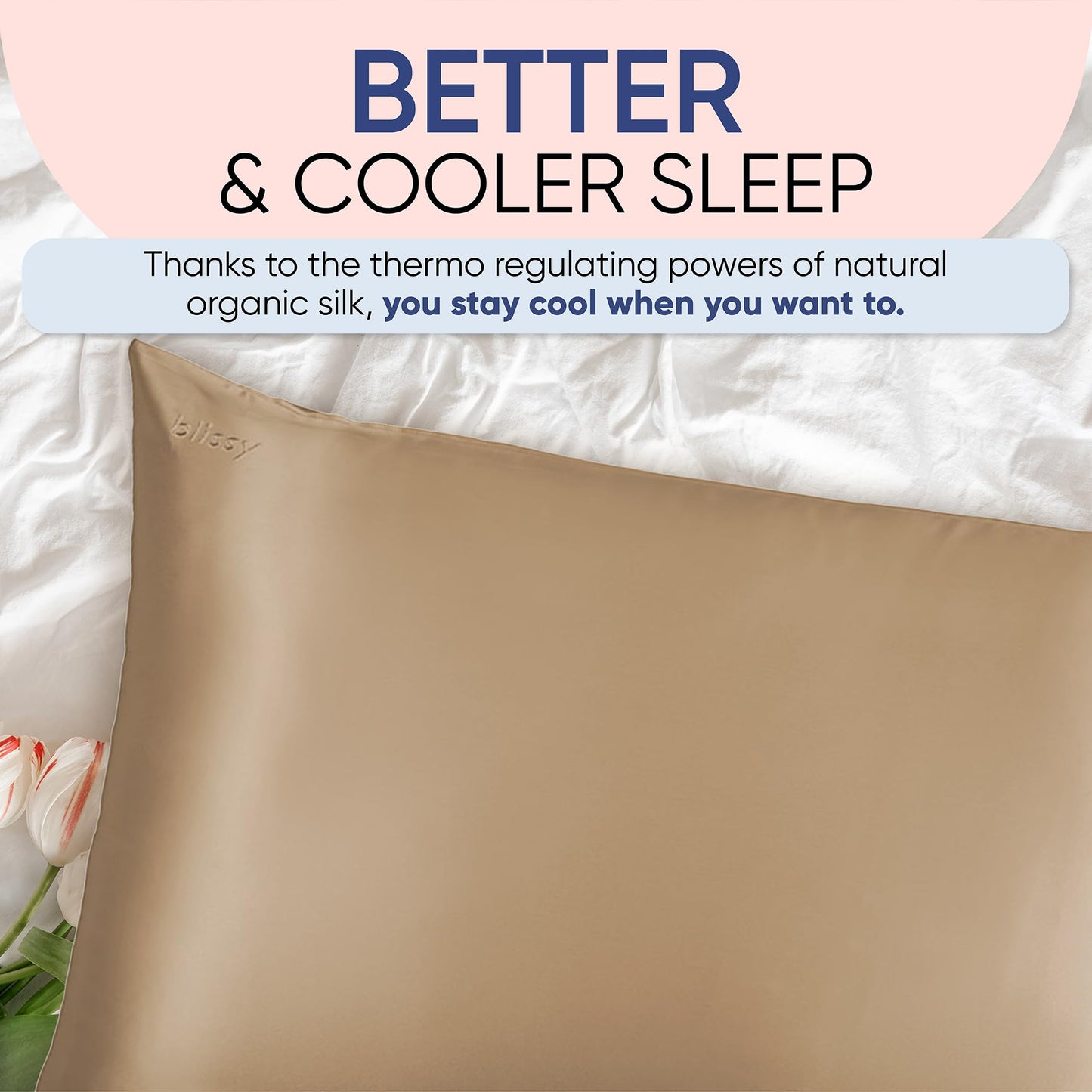 Blissy Silk Pillowcase - 100% Pure Mulberry Silk - 22 Momme 6A High-Grade Fibers - Silk Pillow Cover for Hair & Skin - Regular, Queen & King (Taupe, Standard)