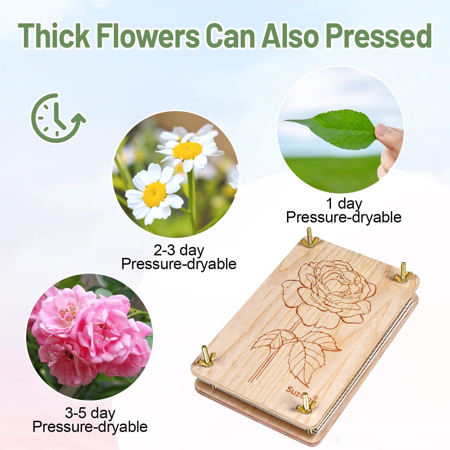 Suziko Large Flower Press Kit for Adults& Kids Flower &Plant Preservation Kit Measures 10.8" x 6.9" Suziko Leaves Press & Flower Press is a Great Gift for Lovers (Rose)