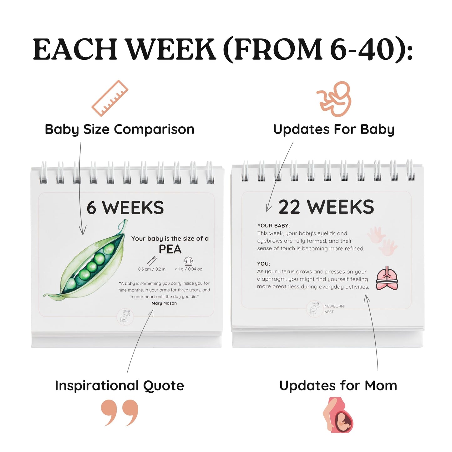 Newborn Nest Pregnancy Calendar for Expecting Mothers - Weekly Baby Growth Tracker with Fruit & Vegetables, Quotes & Development Facts | 72-Page Flip Calendar | Pregnancy Gifts for First Time Parents