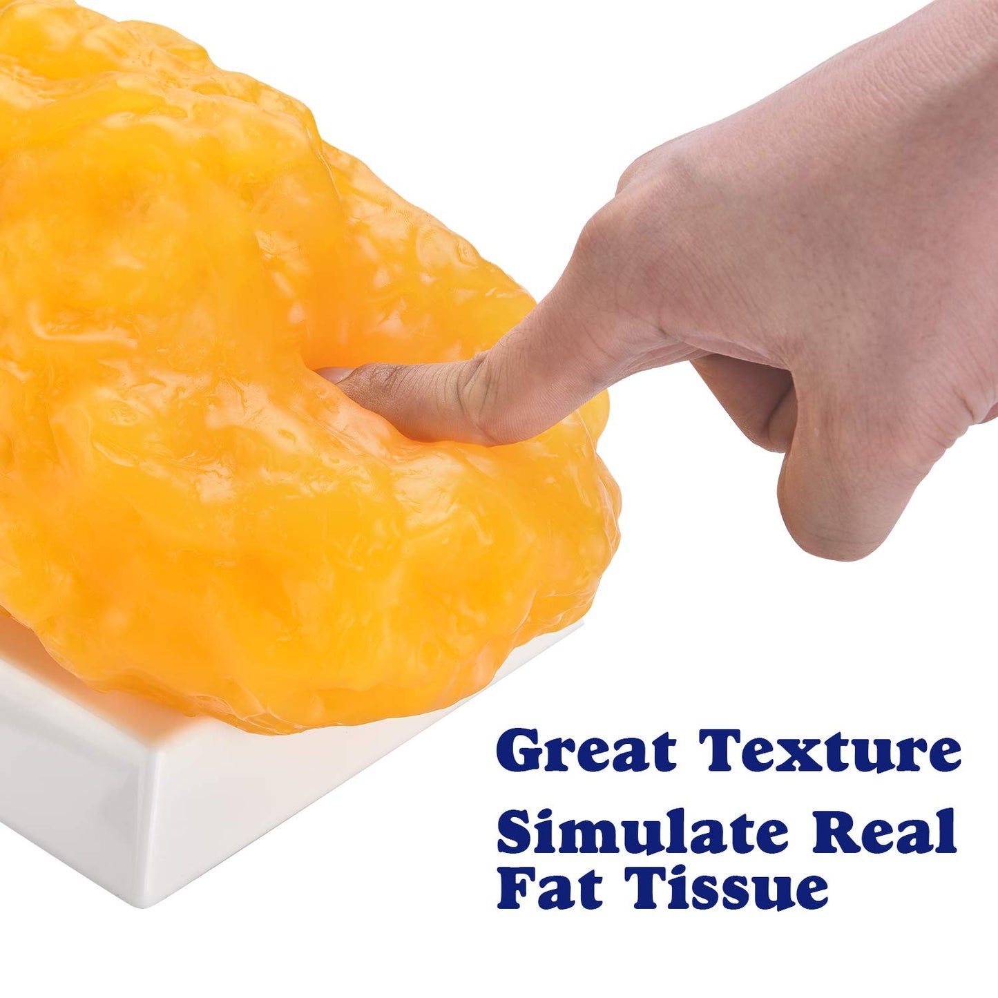 Medarchitect Authentic Human Body Fat Replica - 5 lb, Keep Fit & Weight Loss Motivation & Reminder, Human Fatty Tissue Demonstration Model for Nutritionist, Anatomical Science Course