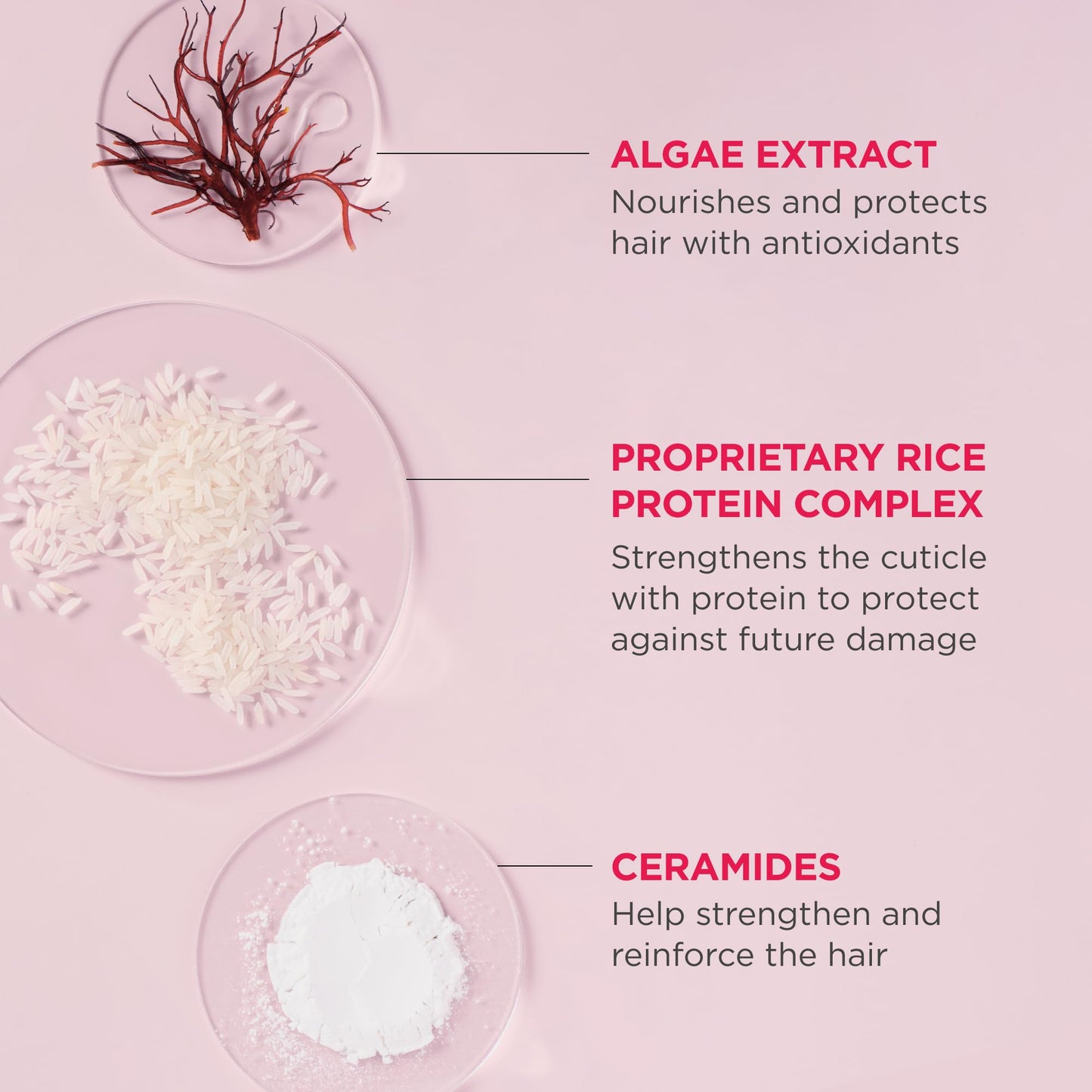 Briogeo Don't Despair, Repair! Rich Rice Shampoo Concentrate, Protein Shampoo for Severely Damaged Hair, Water-Activated Concentrate Shampoo, Vegan, Cruelty-Free, 3 fl oz