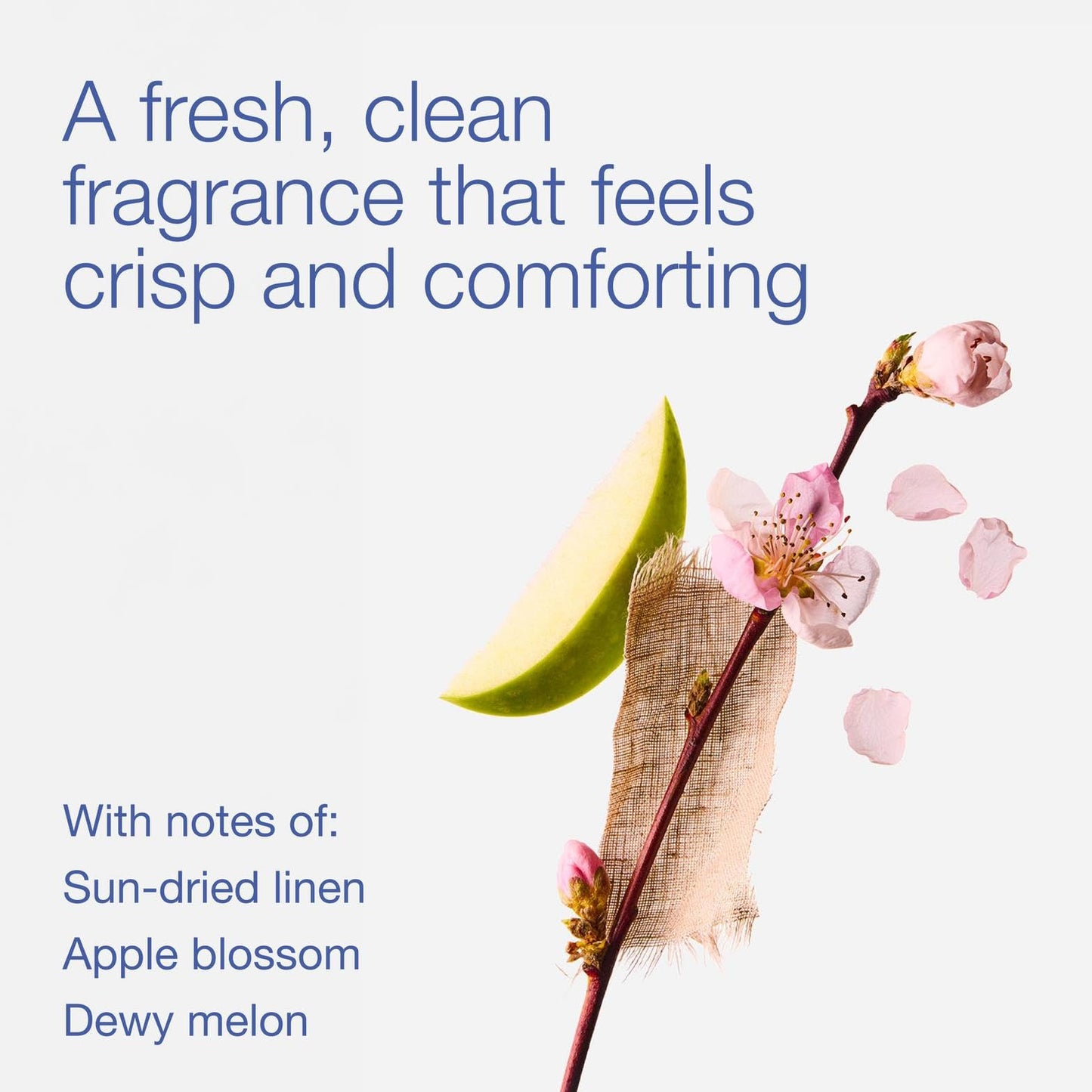 Bath & Body Works Fresh Linen Wallflowers Refills - Plug-In Air Freshener Refill for At-Home Use - Always-On Fragrance -Natural Essential Oils - Room-Filling Fragrance - Thoughtful Gift - 6-Pack