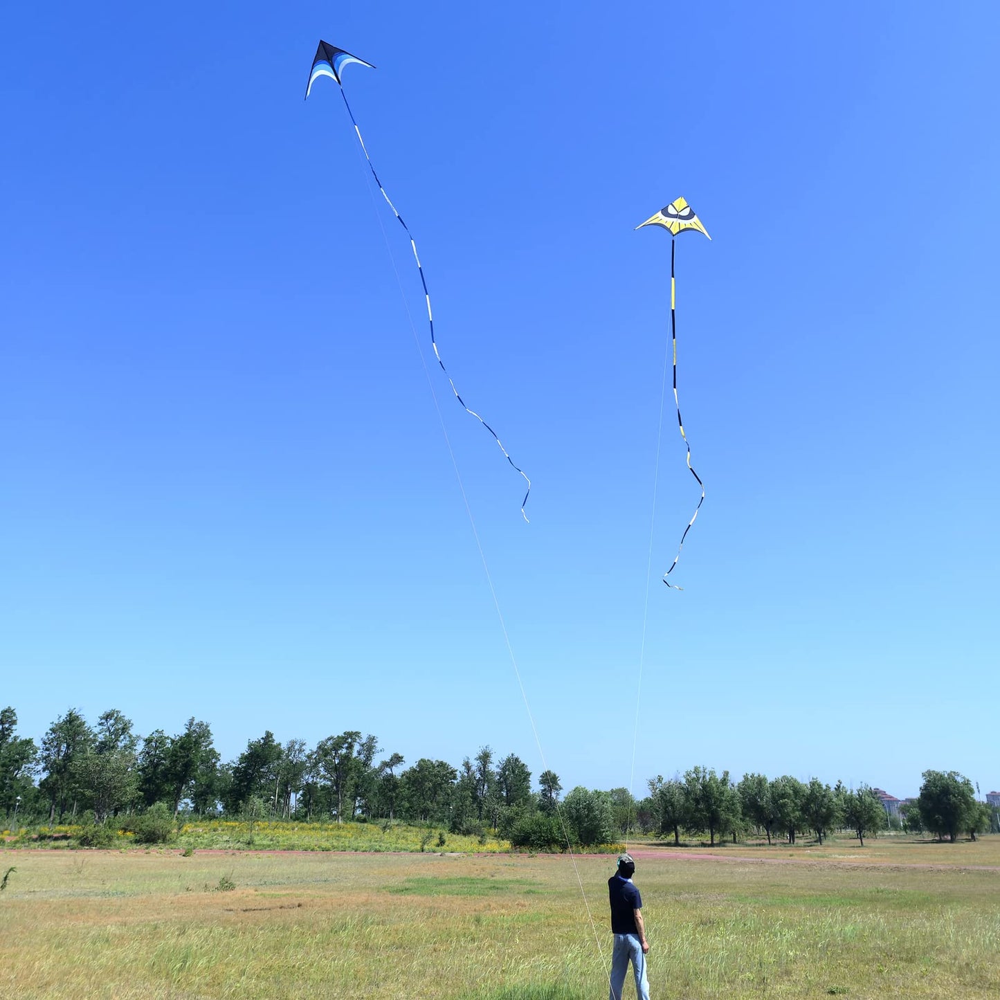 Kaiciuss Huge Delta Kite for Adults Easy to Fly, 9Ft Giant Single Line Style, Extra Large for Beach Trip, with 30M Kite Tail and 300FT String Line Handle (Blue)