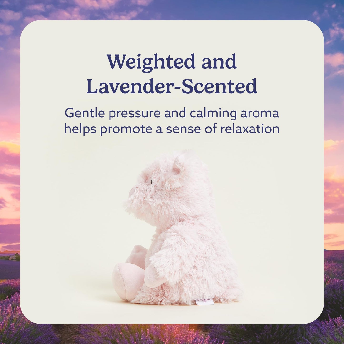 Intelex Cozy Microwaveable Plush, Pig