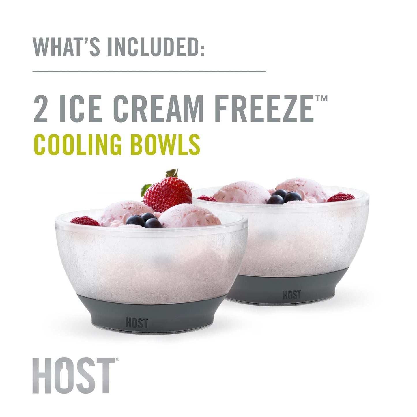 Host Freeze Ice Cream Bowls with Comfort Silicone Grip, Double Walled Insulated Bowl for Cereal, Fruit, Acai, Desserts, Outdoor Party, Kitchen Accessories, 18 oz Set of 2, Grey
