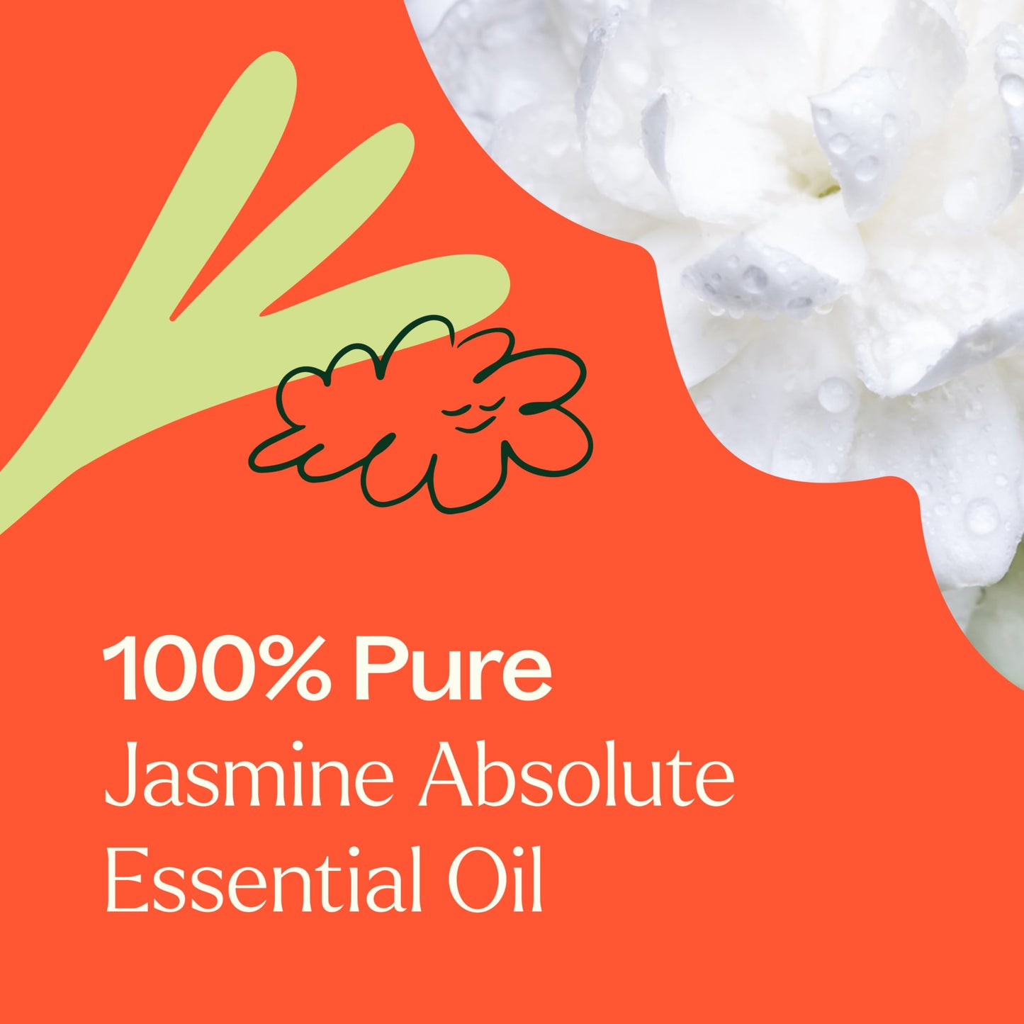 Plant Therapy Jasmine Absolute Essential Oil 100% Pure, Undiluted, Natural Aromatherapy, Therapeutic Grade 2.5 mL (1/12 oz)