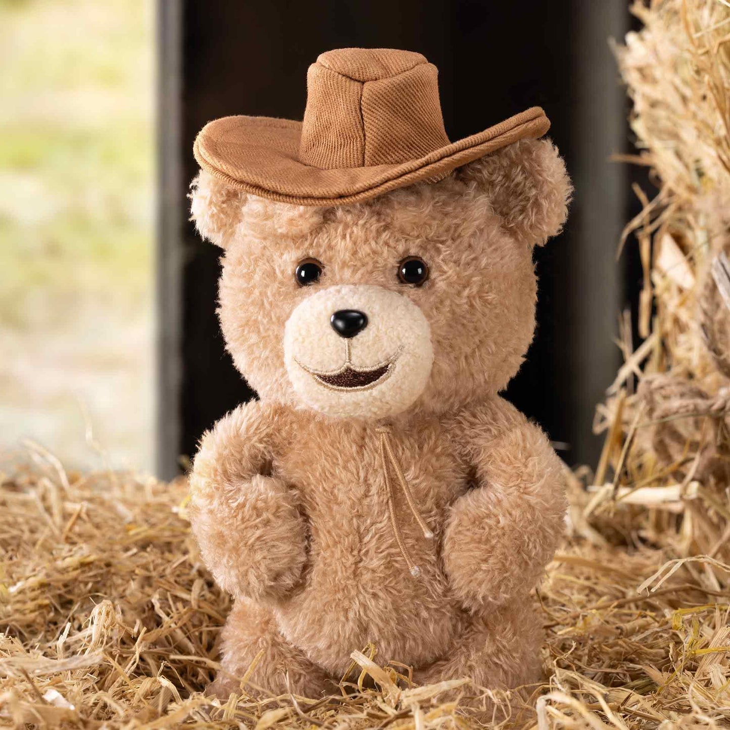 POP MART Ted2 Teddy Bear Action Plush Pendant Blind Box Figures, Random Design Action Figures Collectible Toys Home Decorations, Single Box