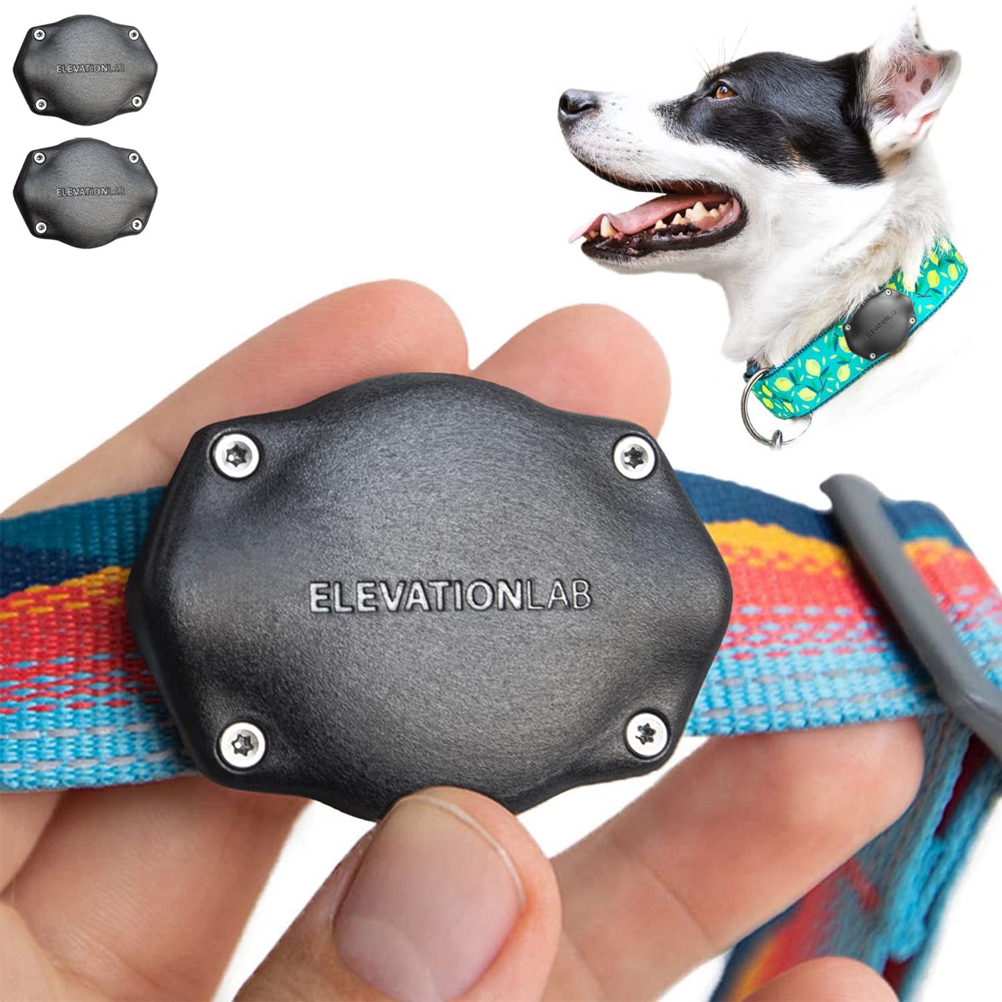 TagVault™ AirTag Dog Collar Mount (2 Pack) - IP69 Waterproof, Doesn't Dangle, Fits All Width Collars | Elevation Lab