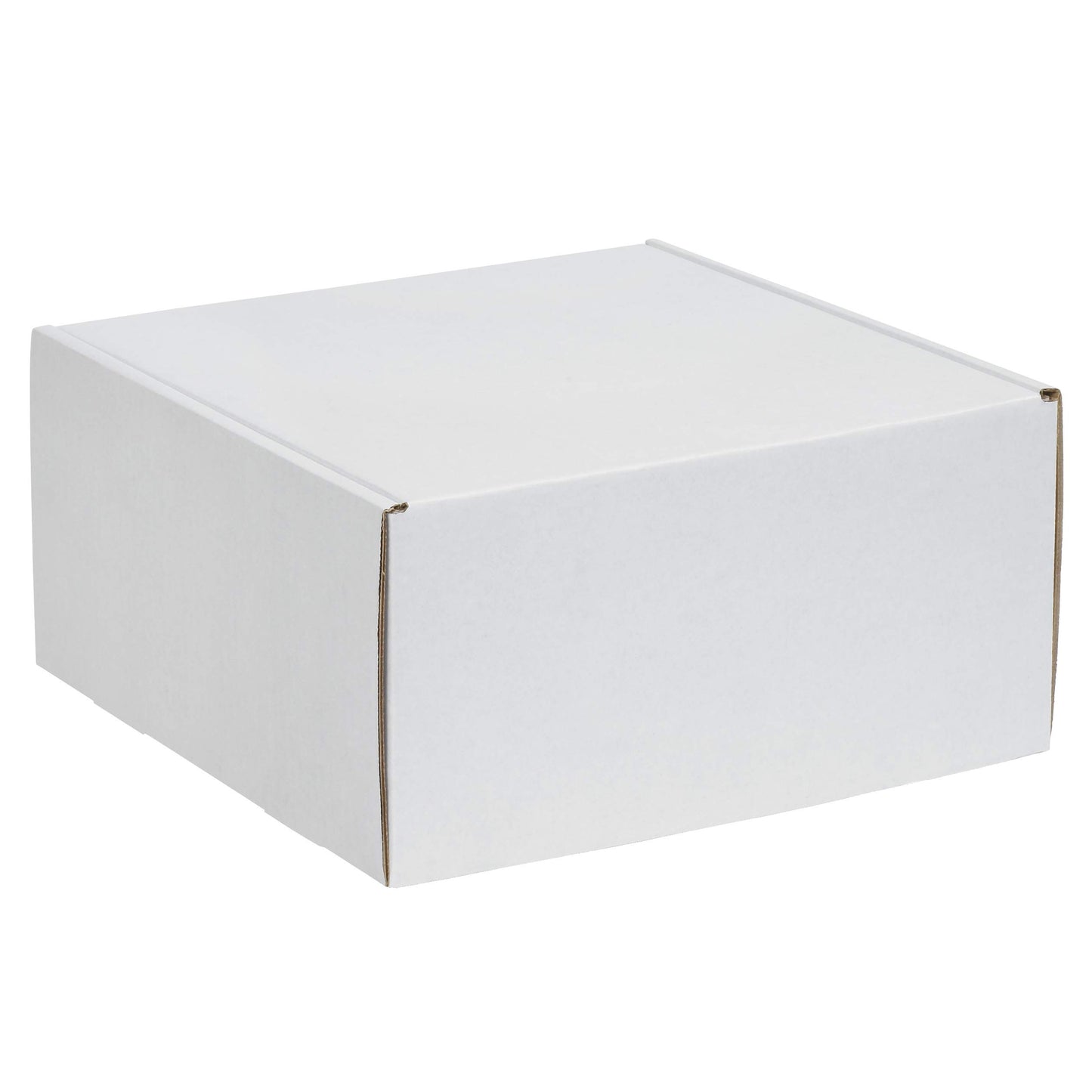 Aviditi White Deluxe Literature Mailing Boxes, 9 x 6 1/4 x 3 Inches, Pack of 50, Crush-Proof, For Shipping, Mailing and Storing