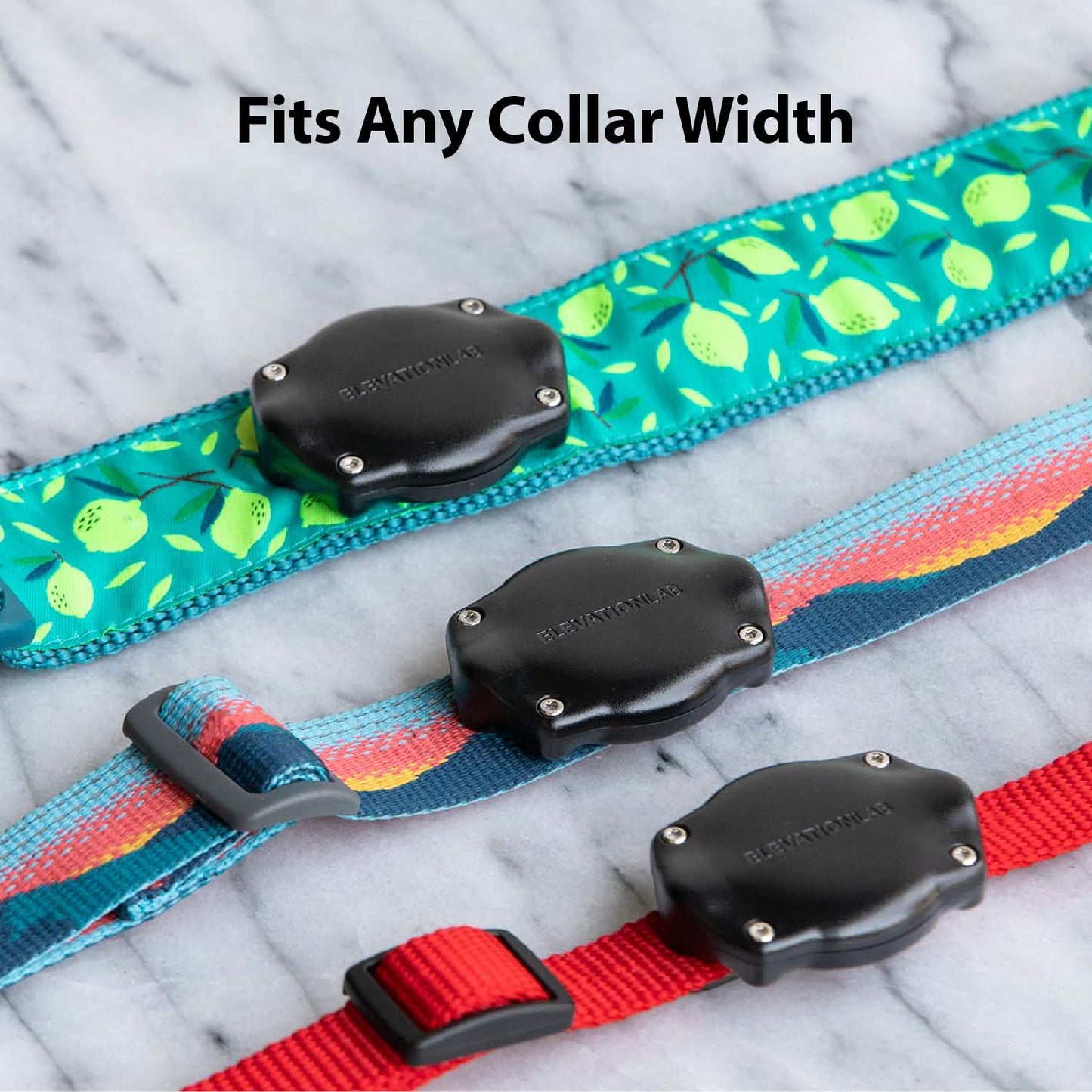 TagVault™ AirTag Dog Collar Mount (2 Pack) - IP69 Waterproof, Doesn't Dangle, Fits All Width Collars | Elevation Lab