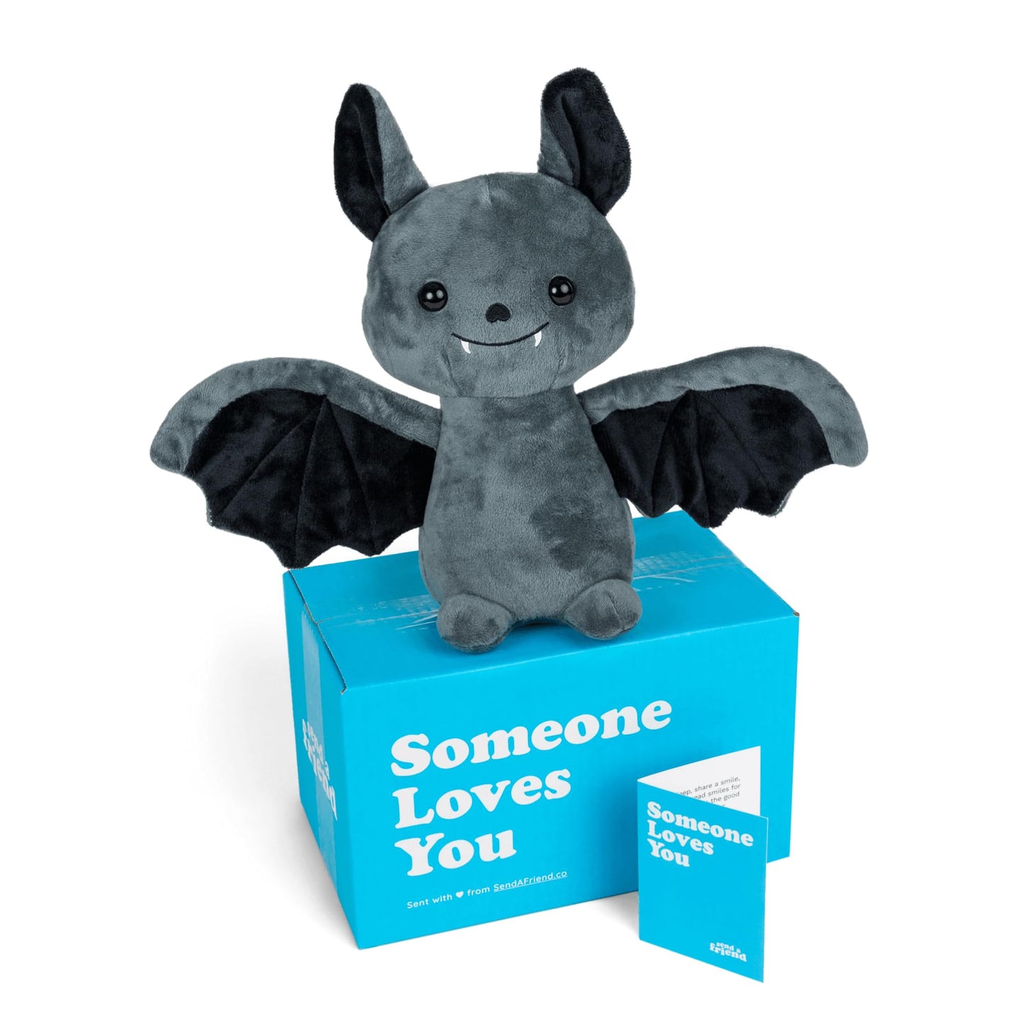 send a friend Binks The Bat Stuffed Animal Care Package, Someone Loves You Box, Great Gift for Any Reason (Miss You Notecard)