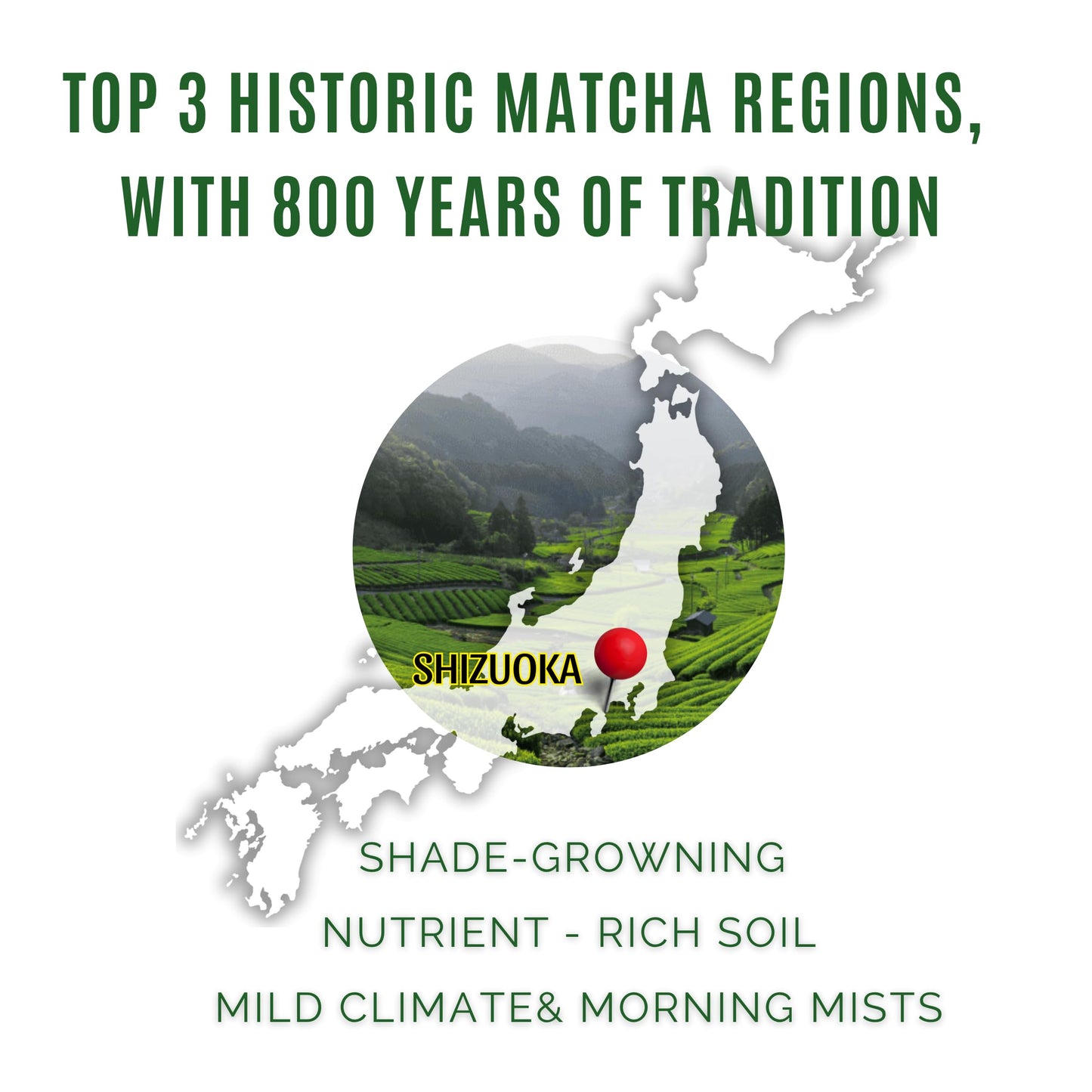 Satoen Authentic Japanese Ceremonial Grade Matcha Powder - Ceremonial Matcha Green Tea Powder from 100% Spring Premium First Harvest - Crafted for Matcha Straight Tea (100g)