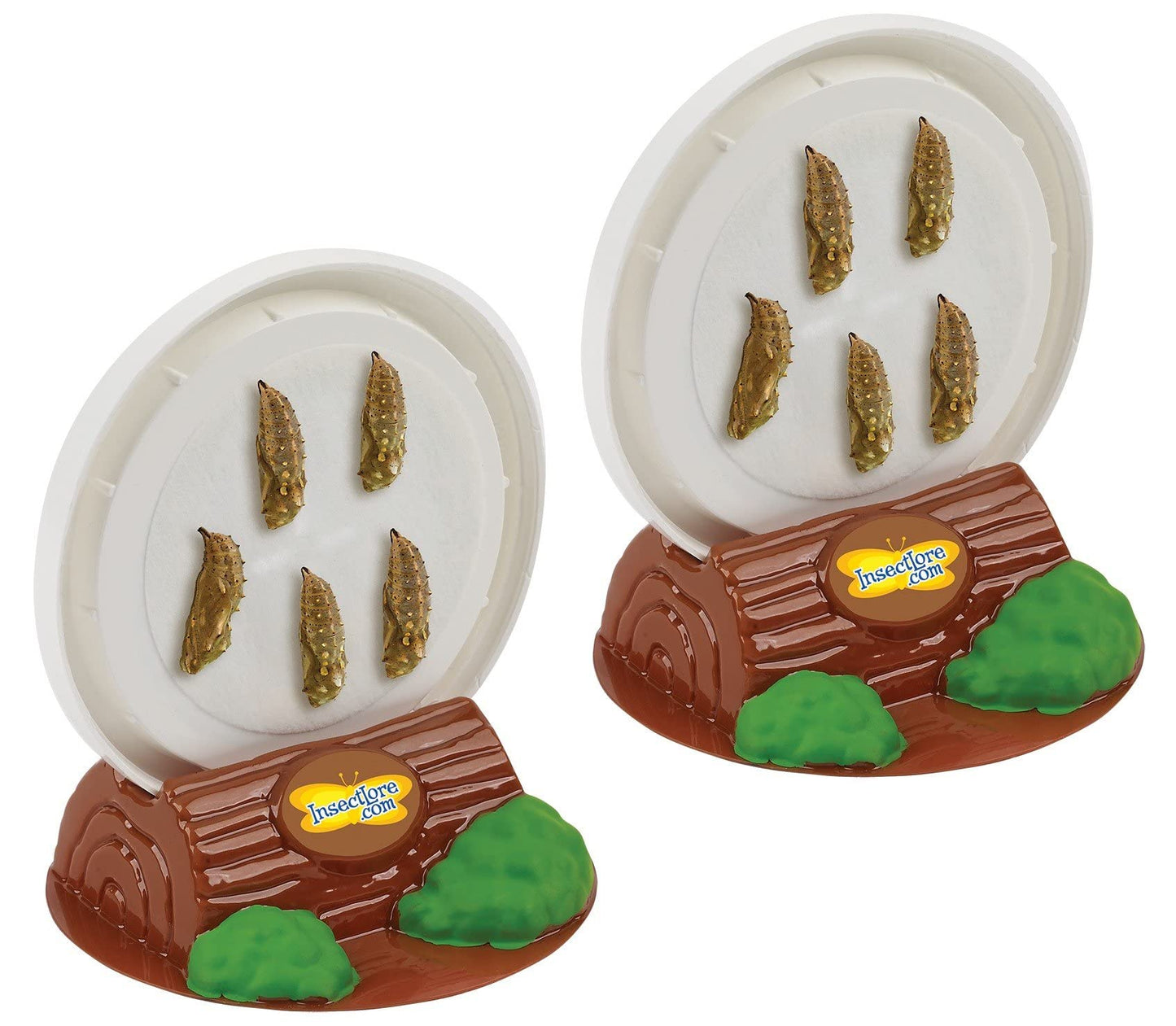 Insect Lore Butterfly Garden | 10 Live Baby Caterpillars | Habitat, Feeder, Chrys-A-Lid Logs, STEM Journal Included | Raise and Release Painted Lady Butterflies