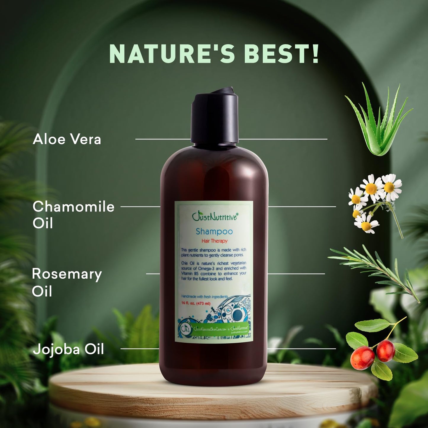 Hair Loss Shampoo | Hair Regrowth Shampoo For Thinning Hair | Hair Growth Product For Men and Women | Just Nutritive | 16 Oz